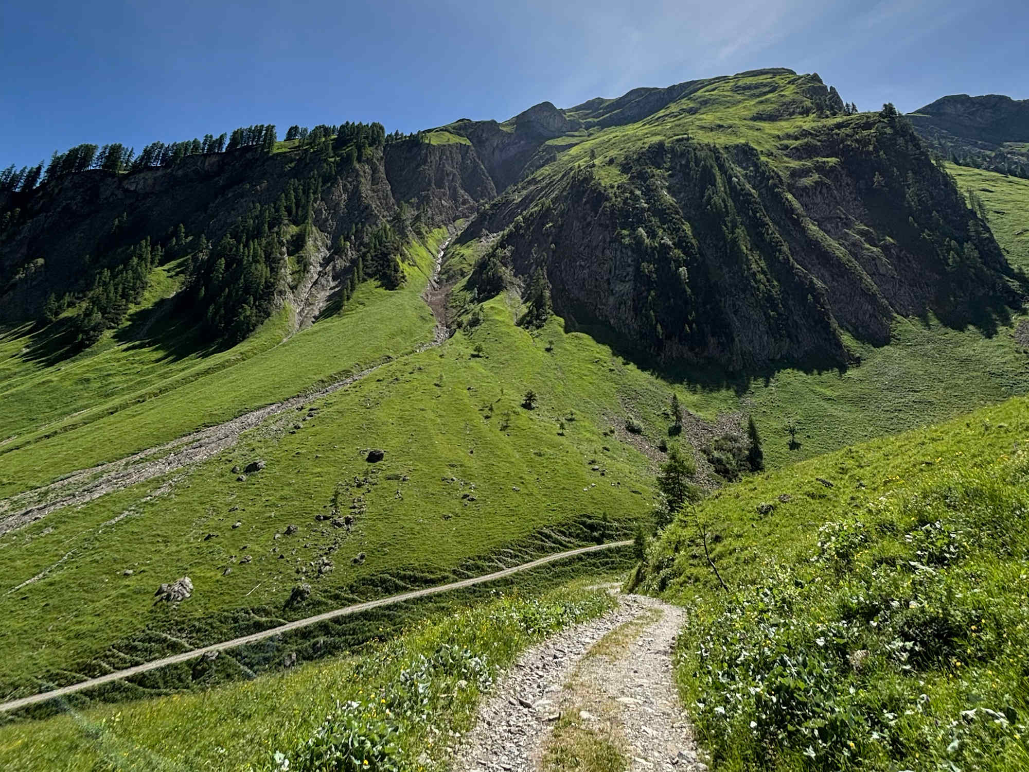 Zur Baumgartalm