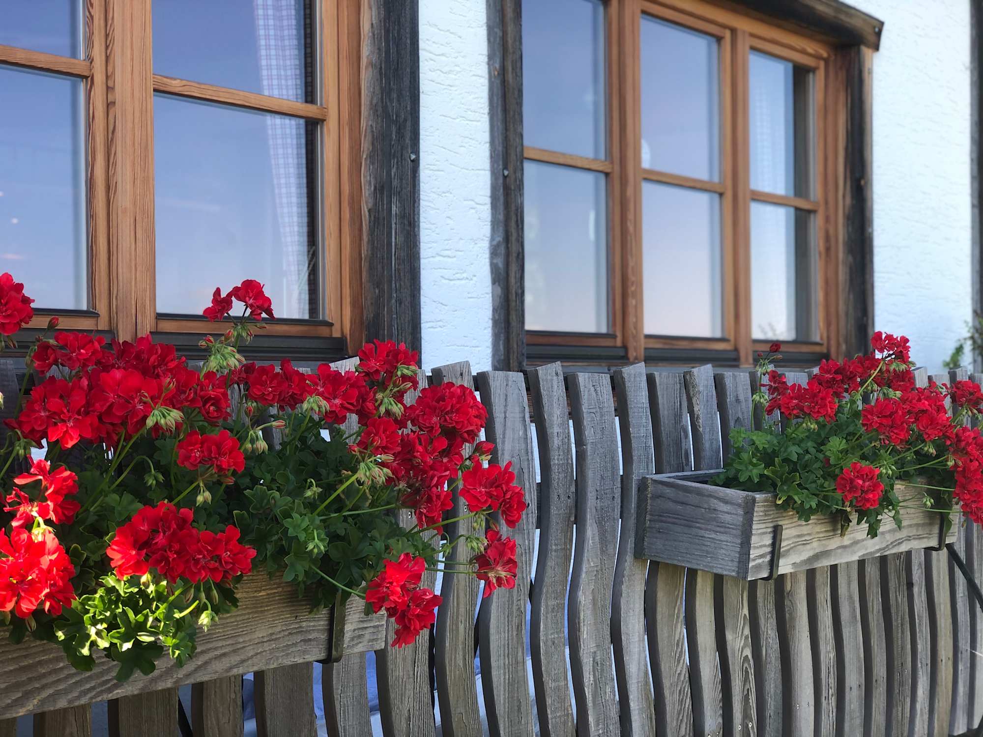 Glasner Hütte