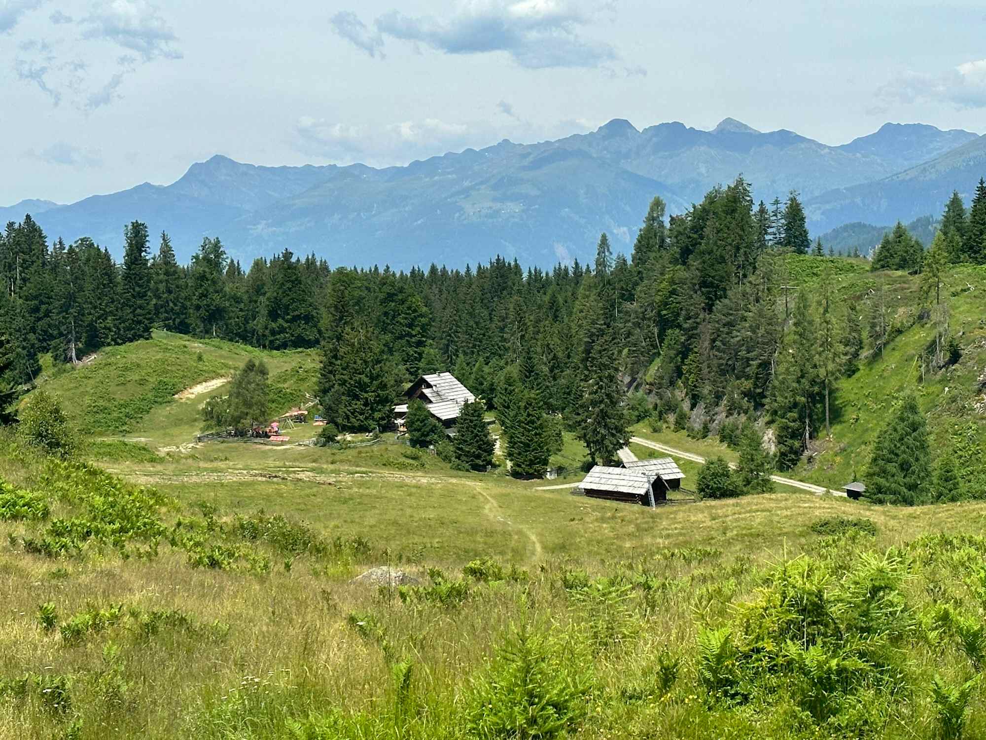 Blick auf die Naggleralm