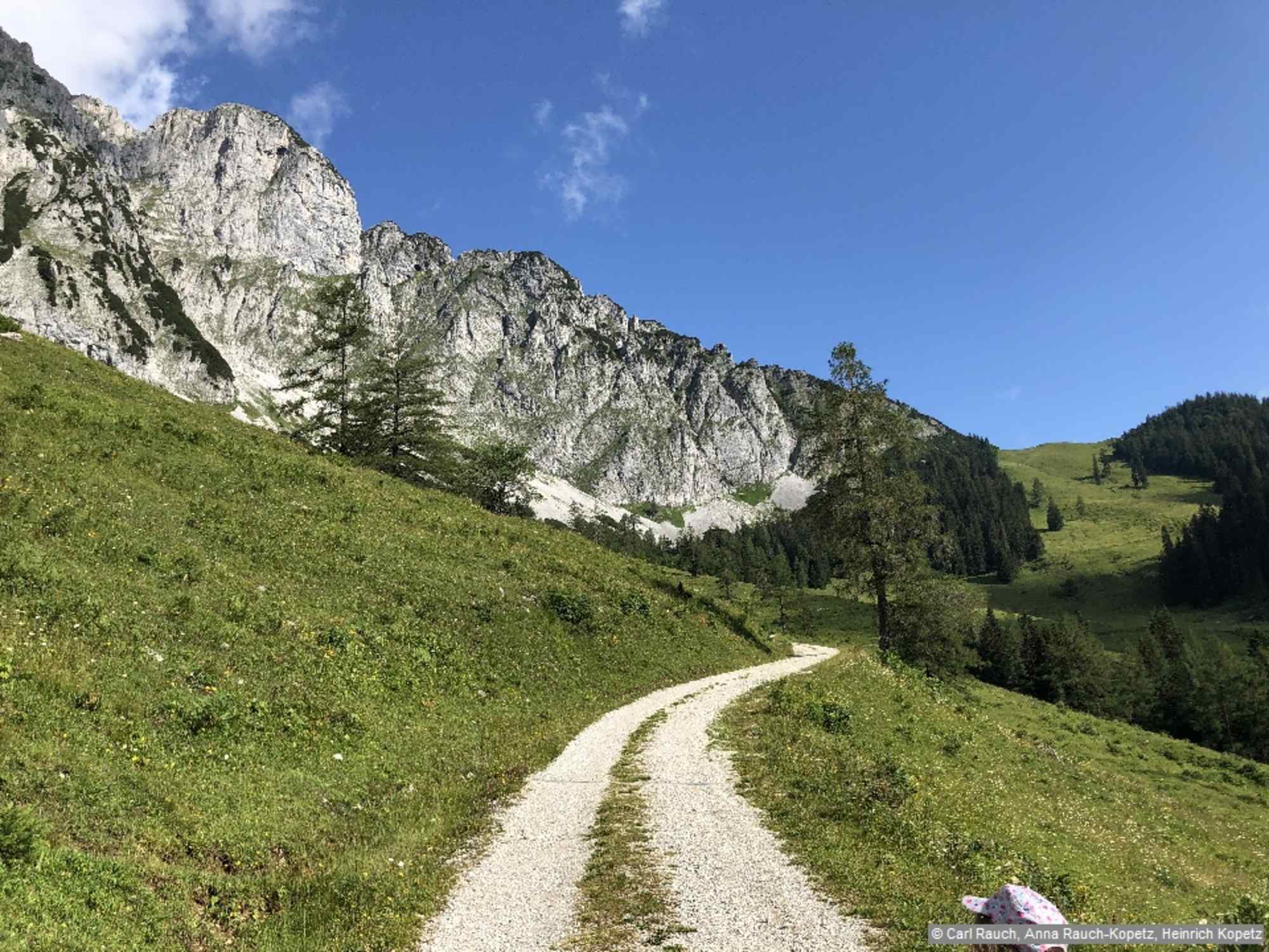 Am Rückweg geht es wieder weit bergauf in den Arling-Sattel.