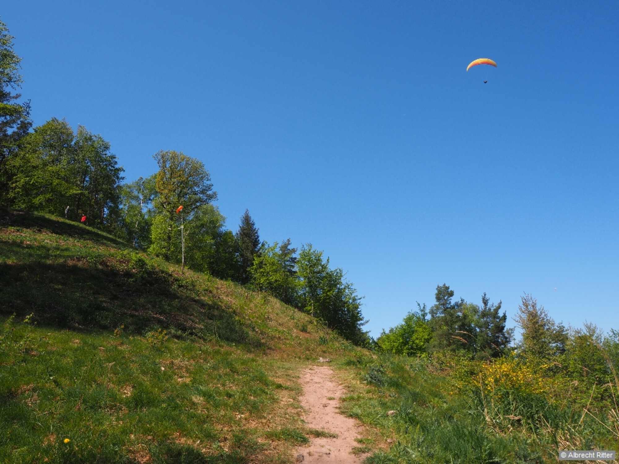 Am Föhrlenberg