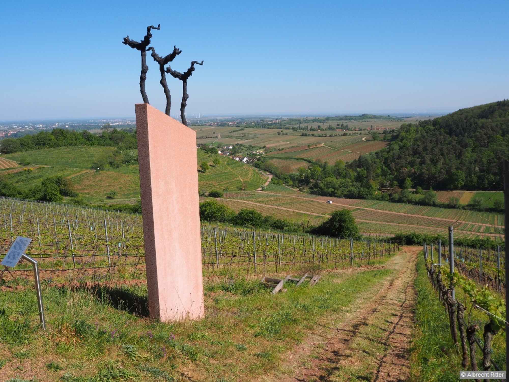 Am Obelisk können wir die Schönheit der Kunst und der Natur genießen.