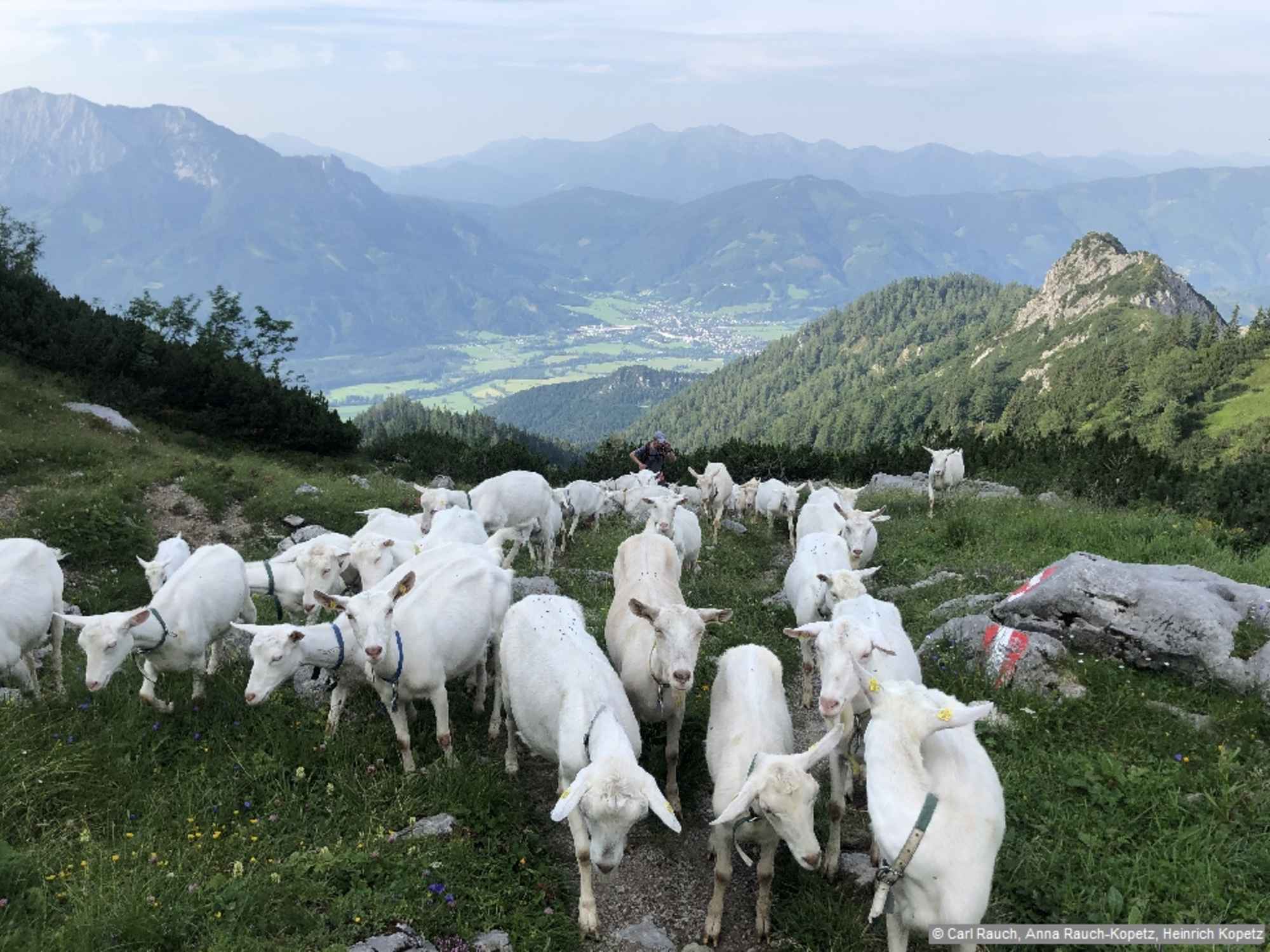 Wenige Bergtouren sind so abwechslungsreich wie diese Runde über den Grabnerstein mit Beginn in Hall.
