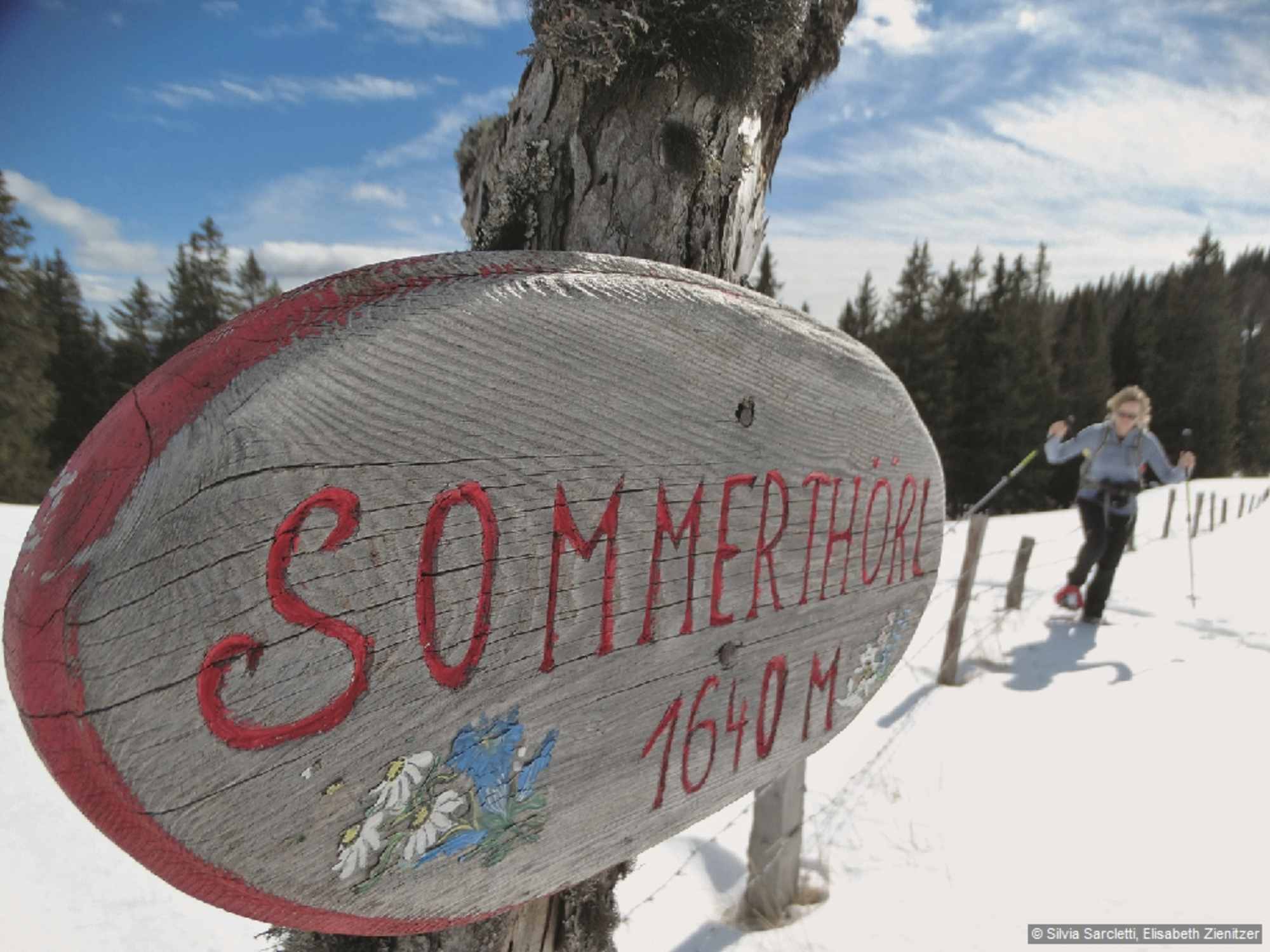 Am Sommertörl, 1644 m, ist schon unser Tourenziel auszumachen, das Gipfelkreuz des Rosenkogels.
