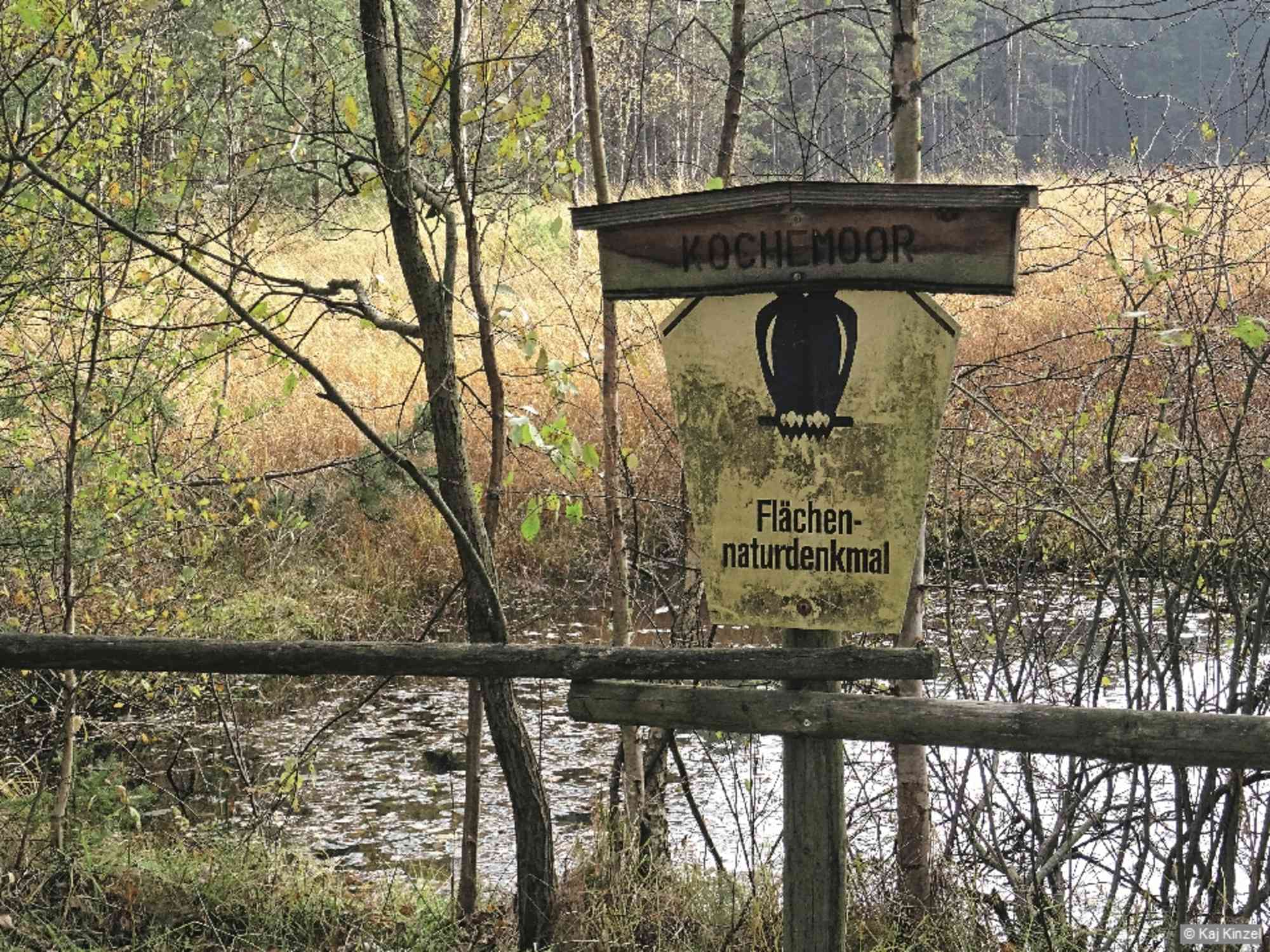 Kleine Wasserfläche am Nordende des Kochemoores, das auch durch Grundwasser gespeist wird.