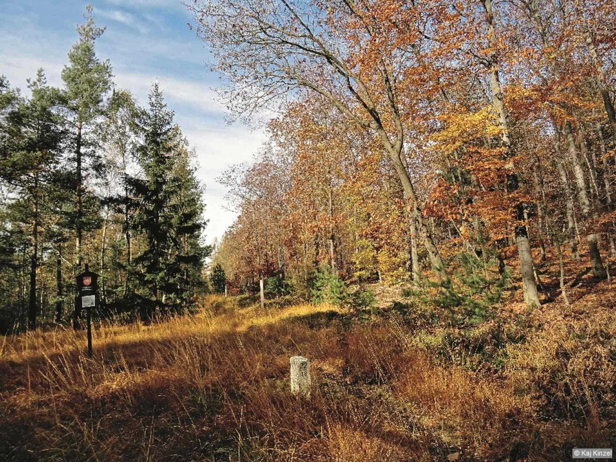 Der Forststeig führt auf dem Grenzpfad am Naturreservat Raitzaer Torfmoor vorbei.