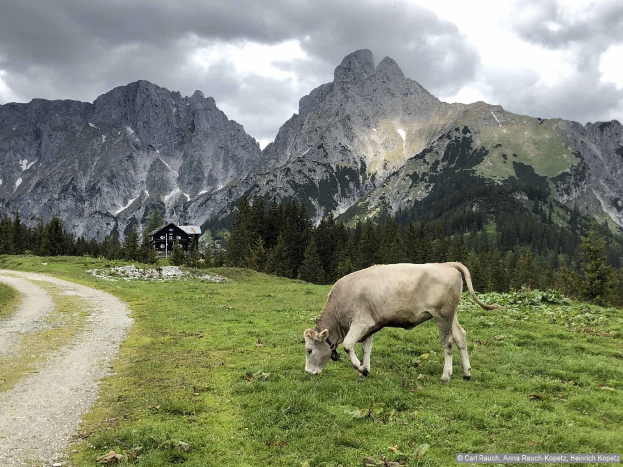 Wenn man die Tour mit einer Nächtigung in der Mödlinger Hütte auf zwei Tage aufteilt, ist sie auch für Kinder gut geeignet.