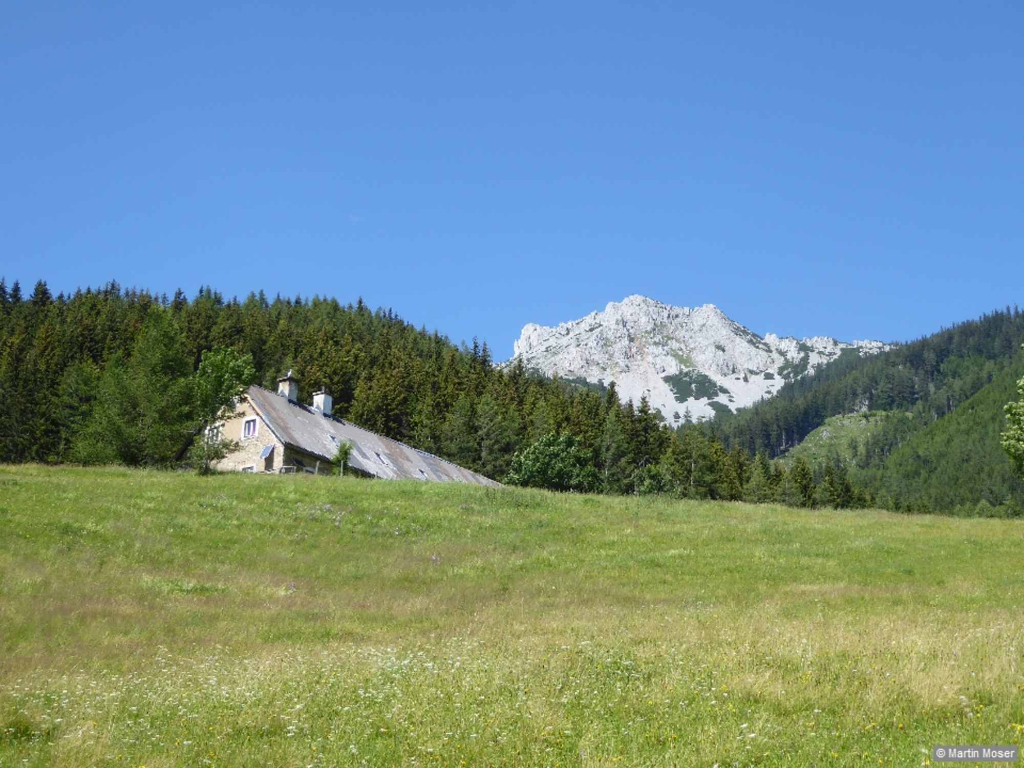 Blick auf die Leobner Mauer.