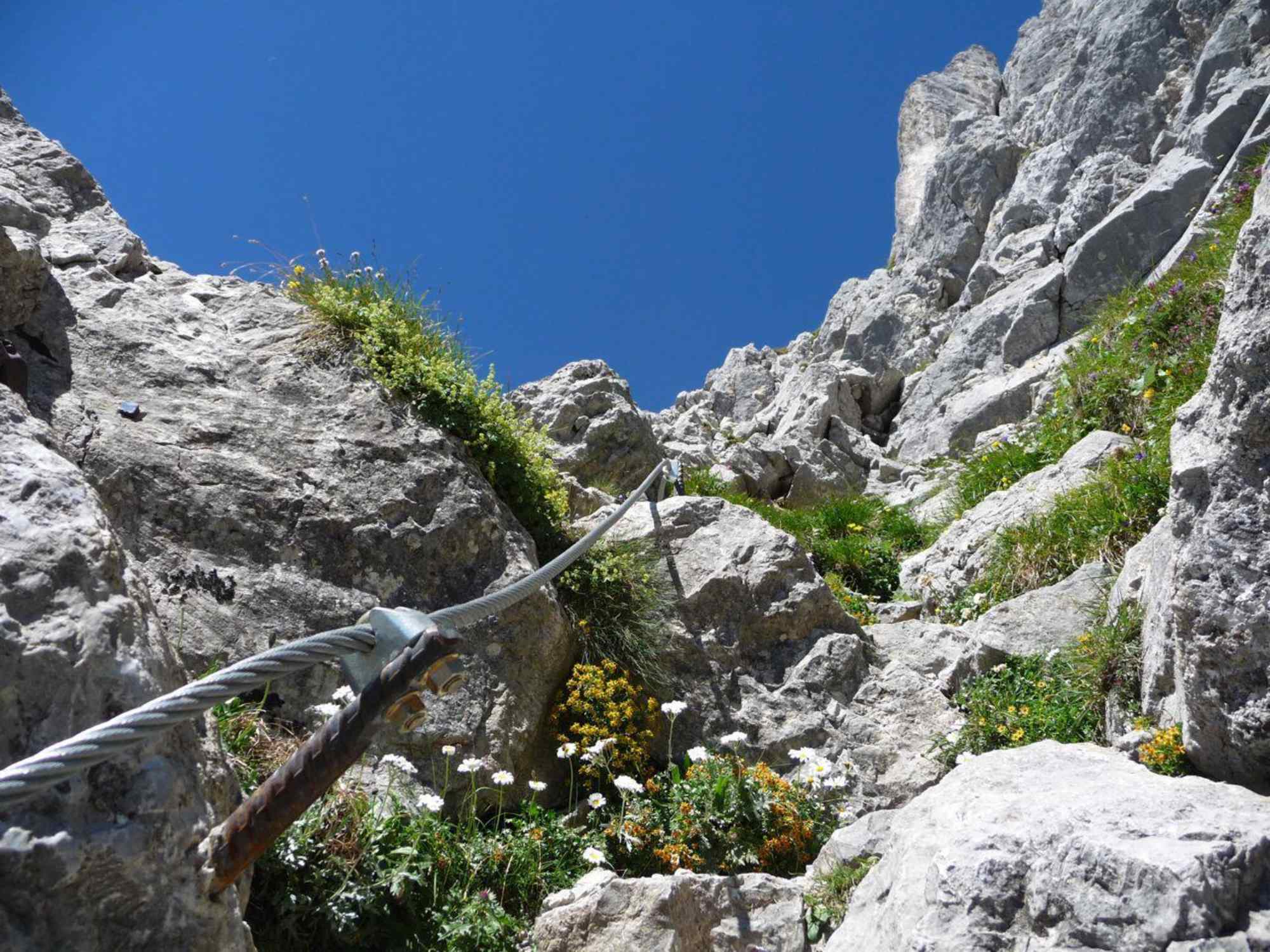 Ellmauer Halt - Gipfeltour - Klettersteig
