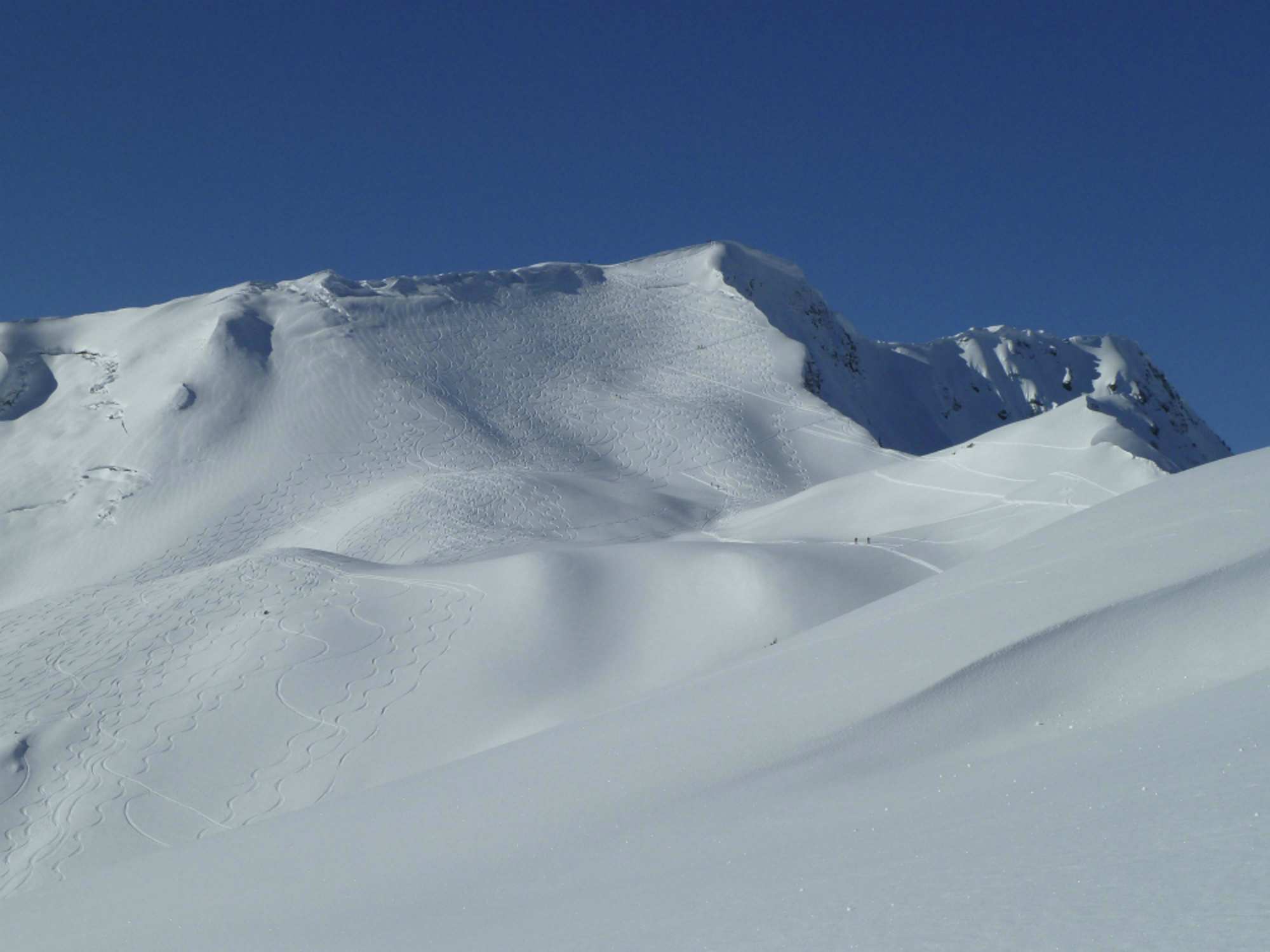 Das Grünhorn mit seinem schönen Gipfelhang