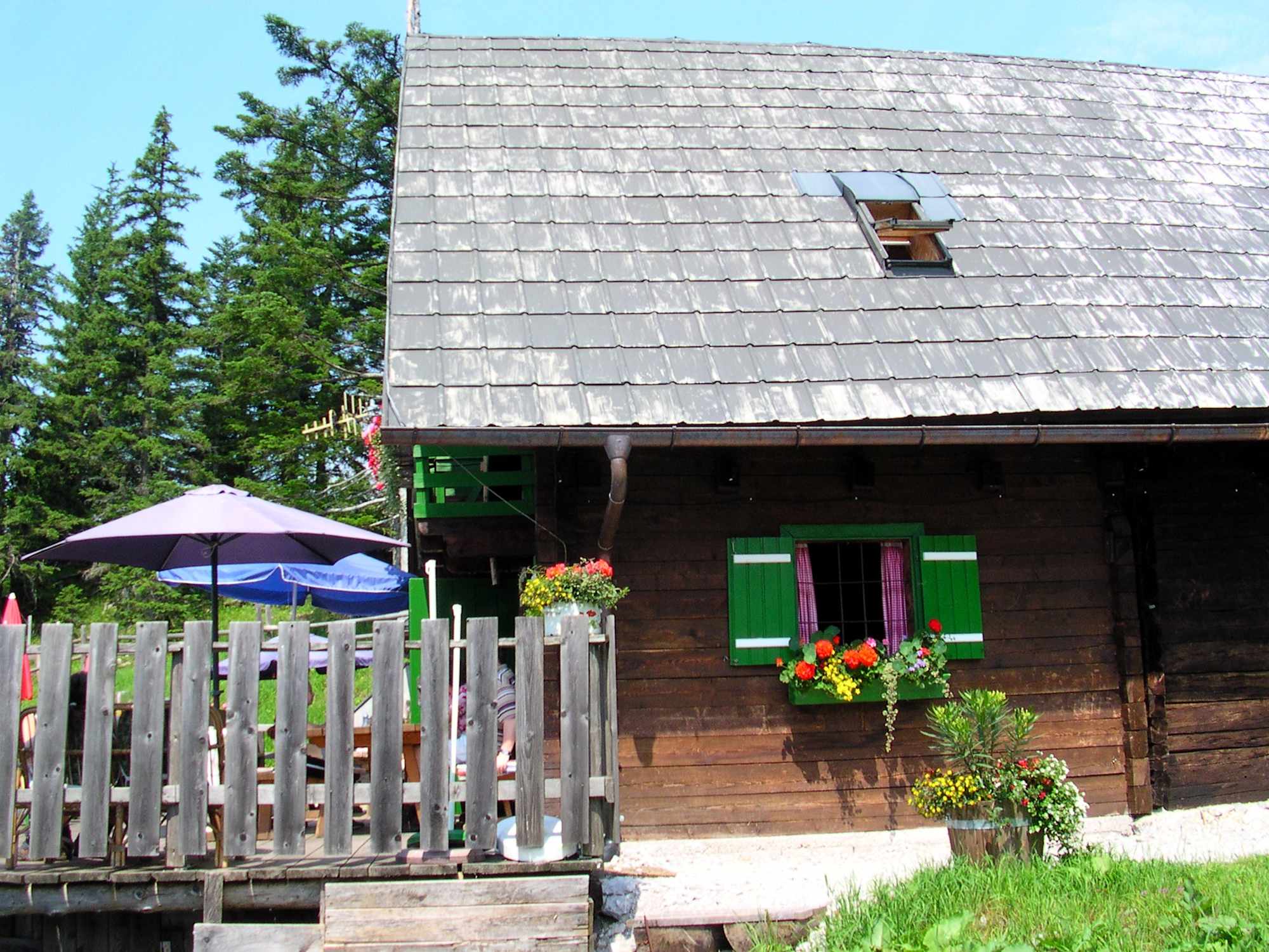 Die Theodor-Körner-Hütte ist einen Abstecher wert.
