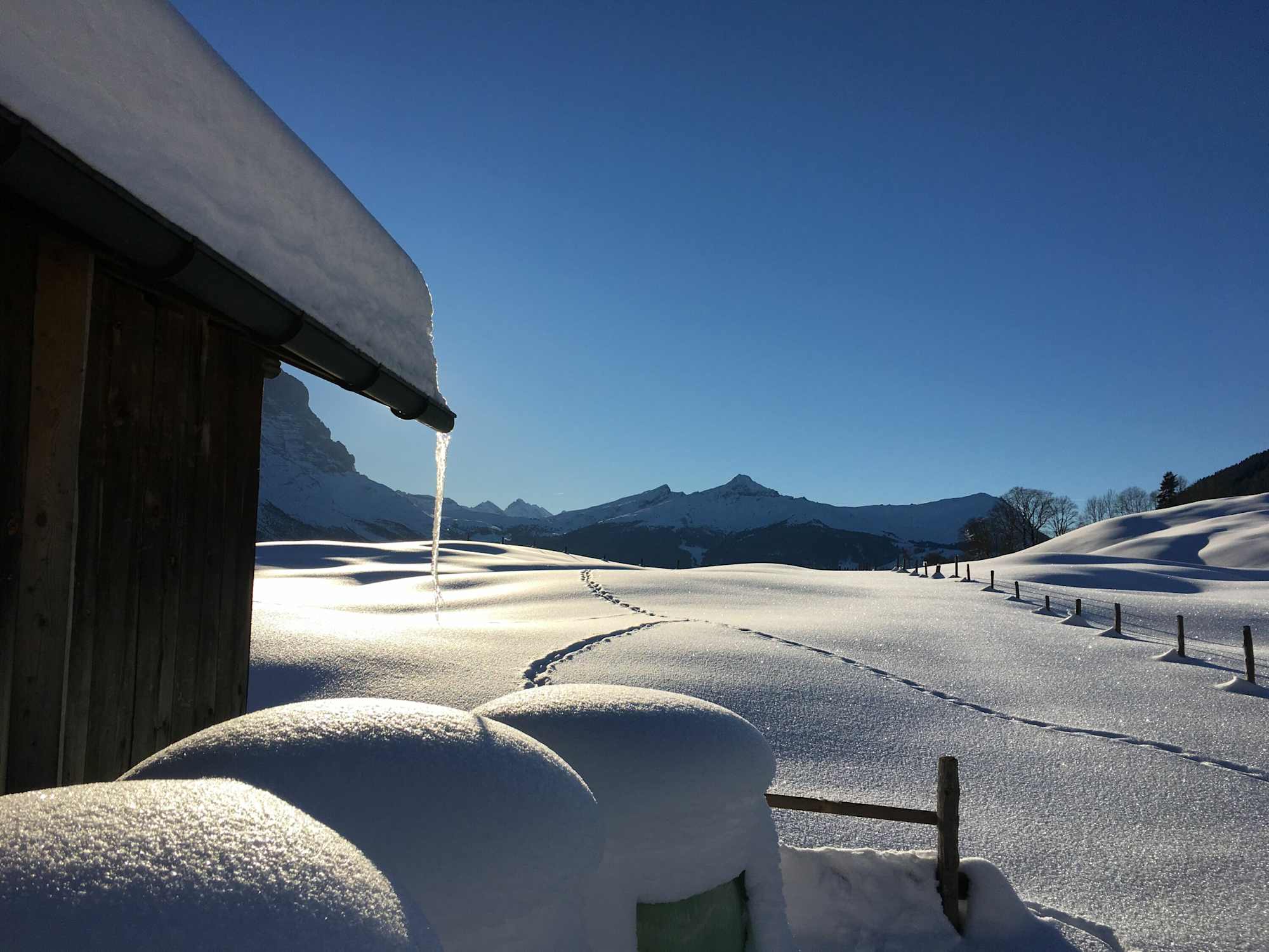 Schneeschuhwandern am Wetterhorn Trail