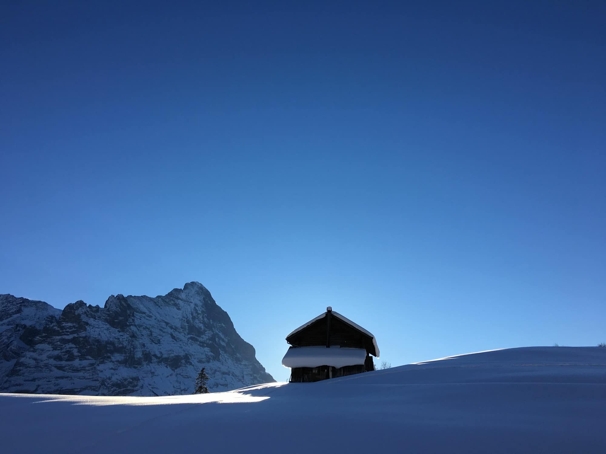 Wintermärchen am Wetterhorn Trail