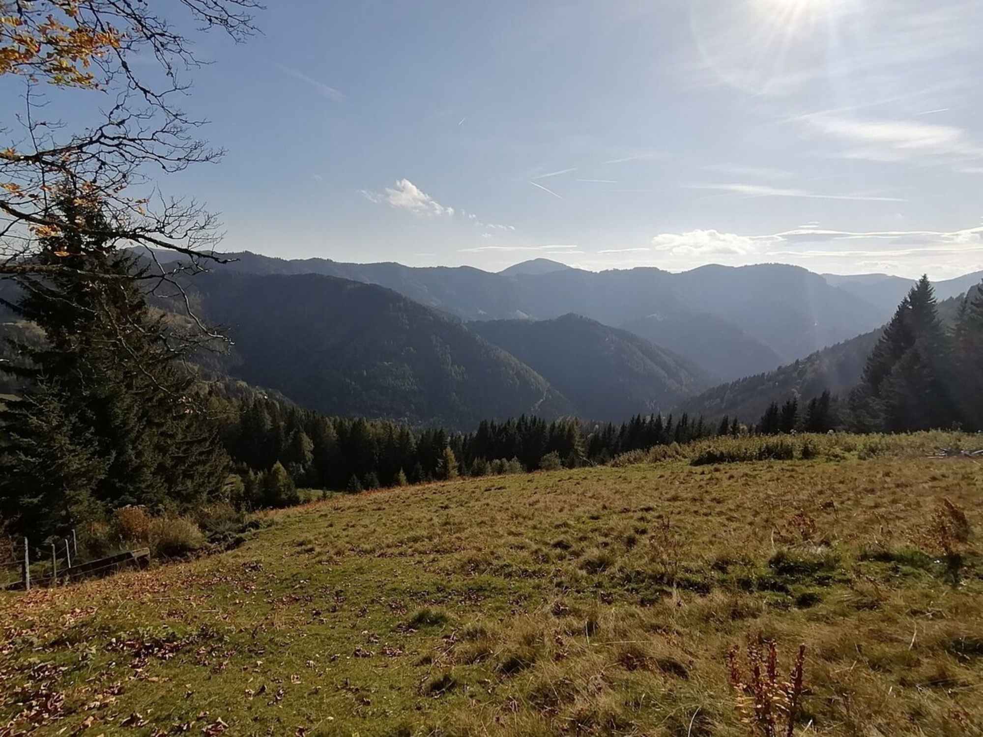 Almlandschaft Richtung Breitenau am Hochlantsch