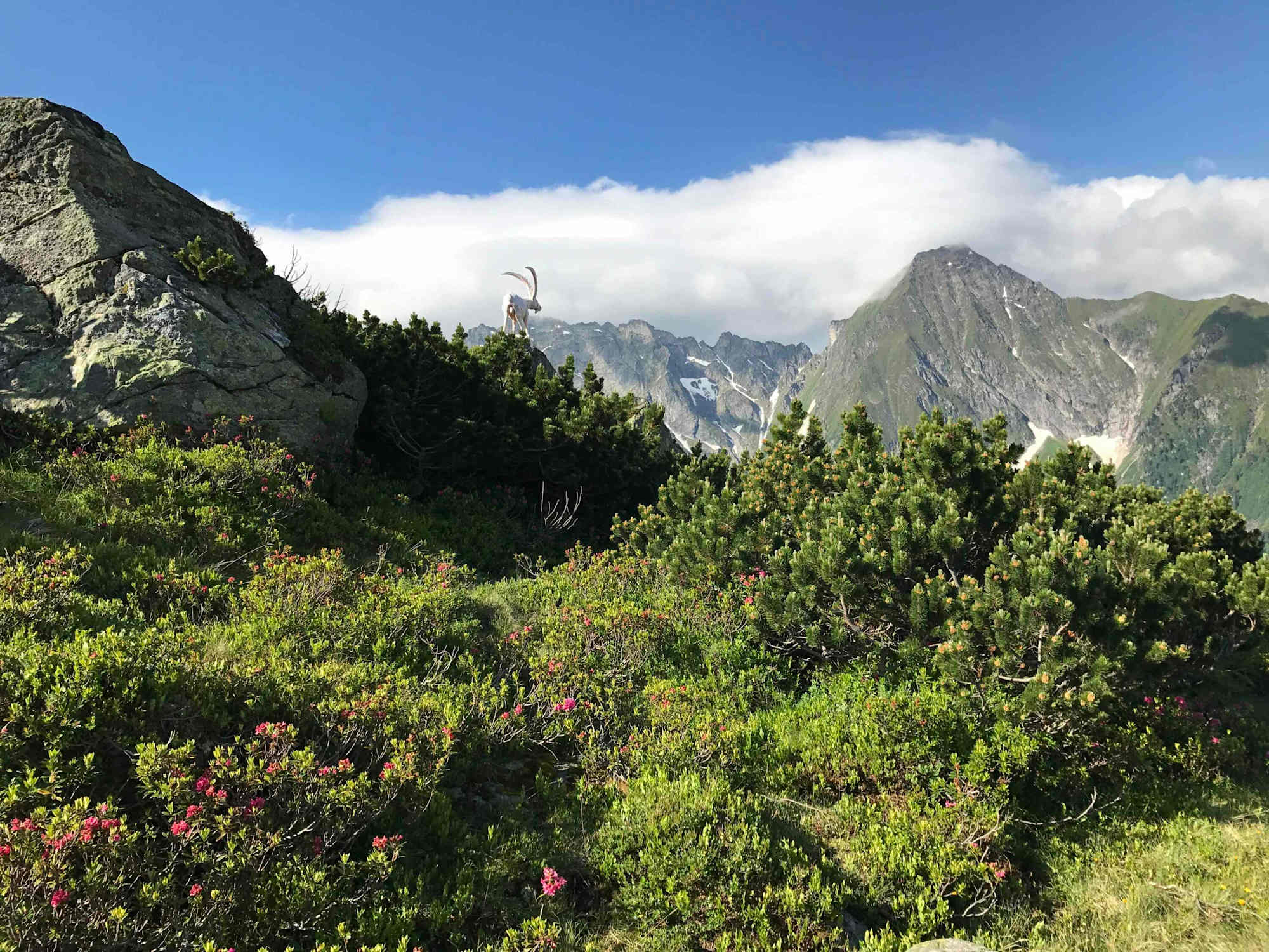 Wanderung zur Bergstation der Ahornbahn