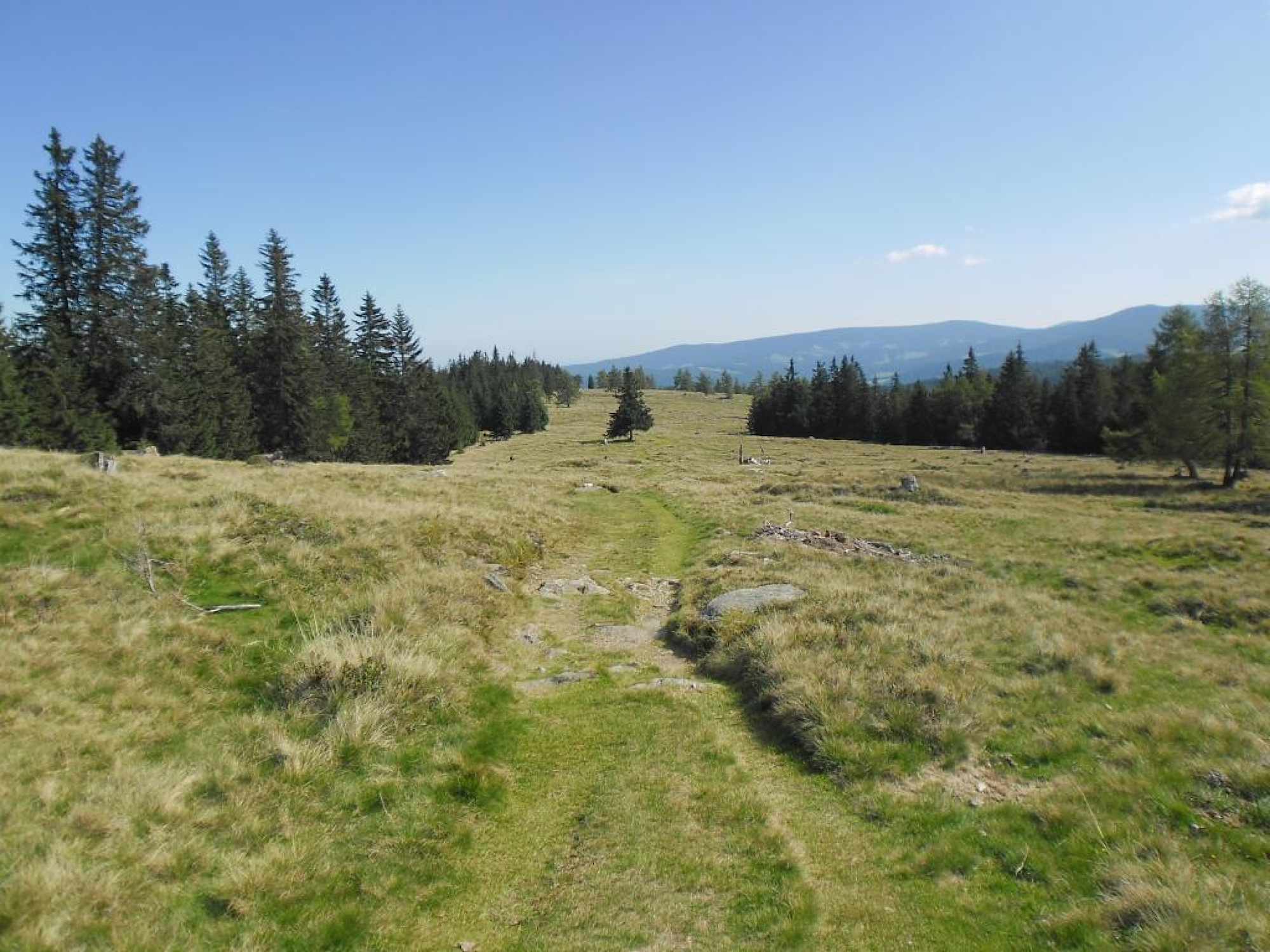 Almwiesen auf der Koralm