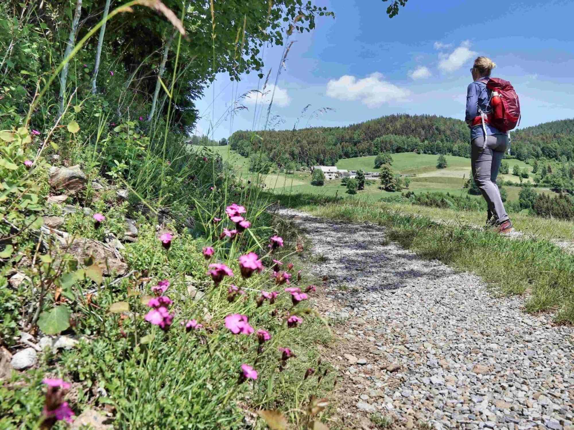 Am Weg nach St. Kathrein am Offenegg