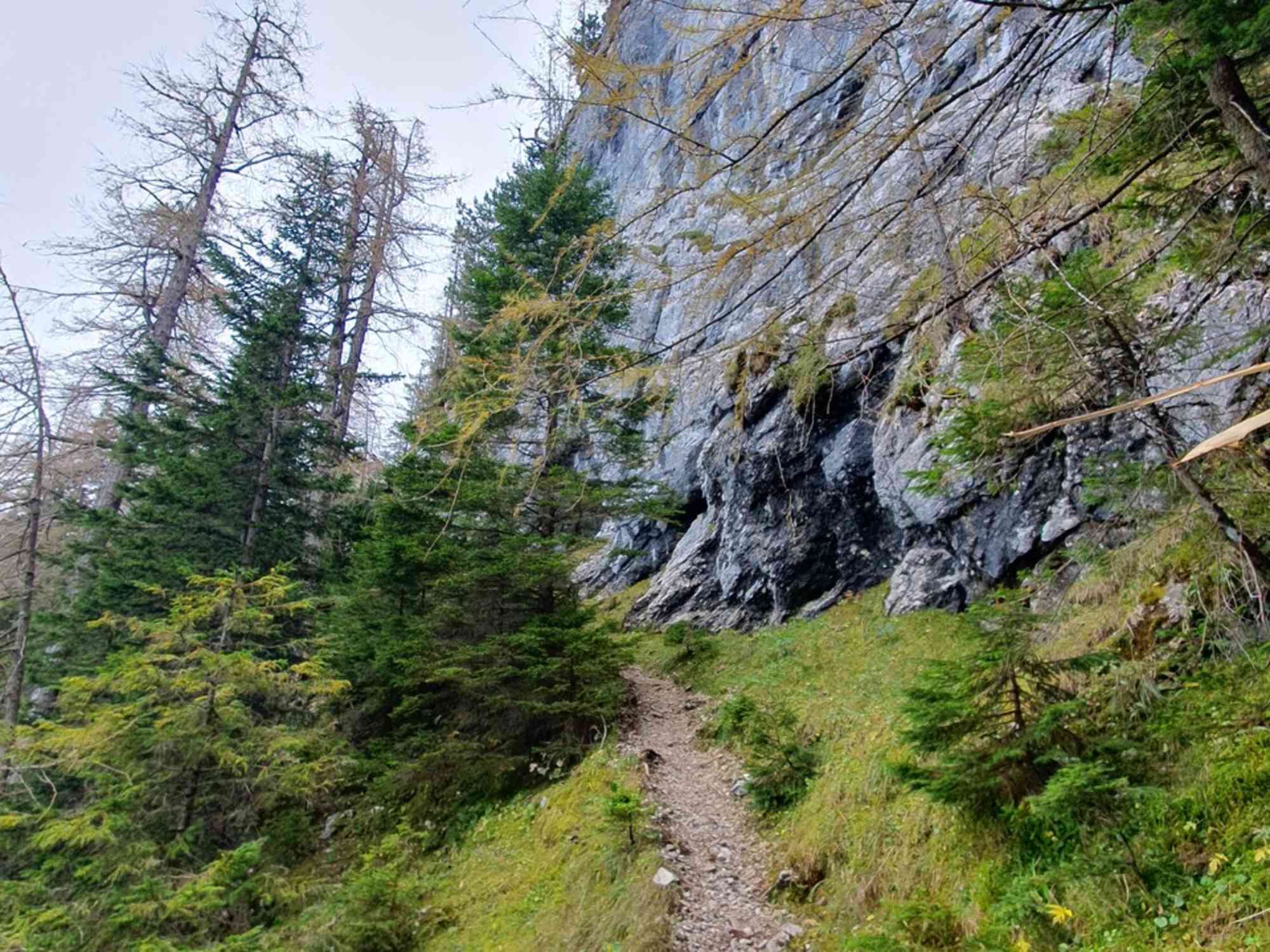 Aufstieg zum Feuerkogel