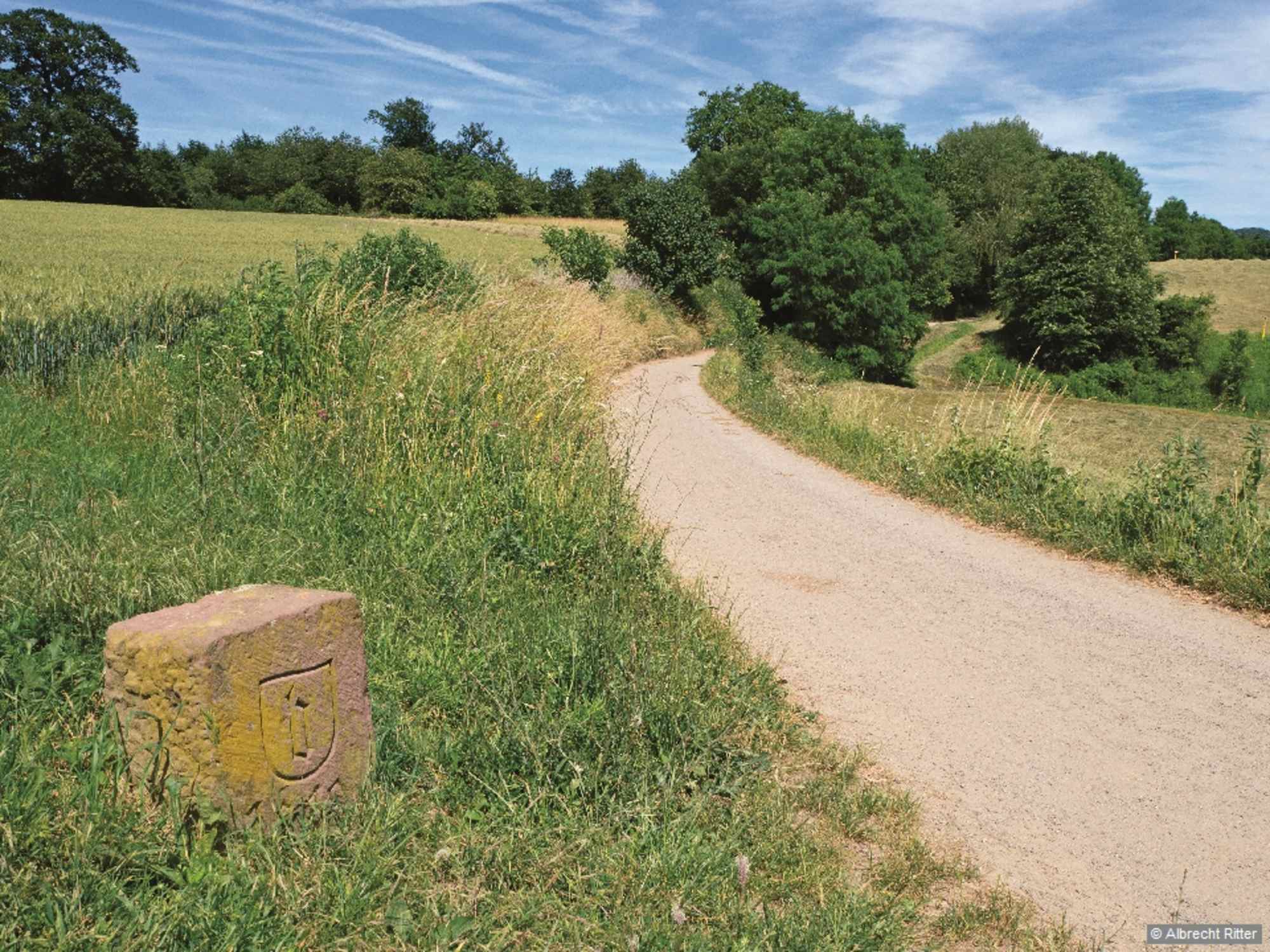 Alter Wegestein in der Striet bei Bensheim.