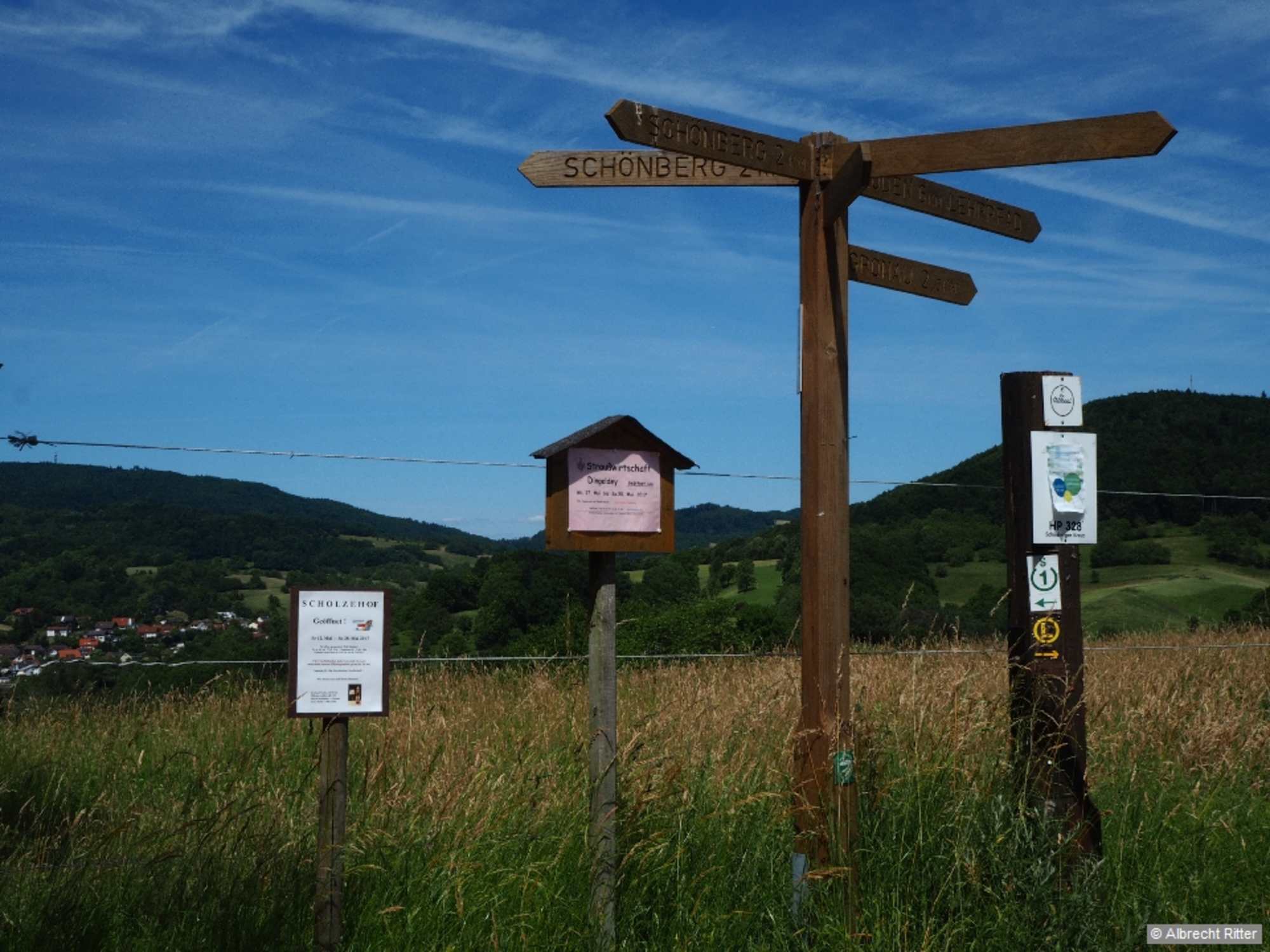 Durch saftige Wiesen vorbei an knorrigen alten Eichen verläuft der Weg bis zum Schönberger Kreuz.