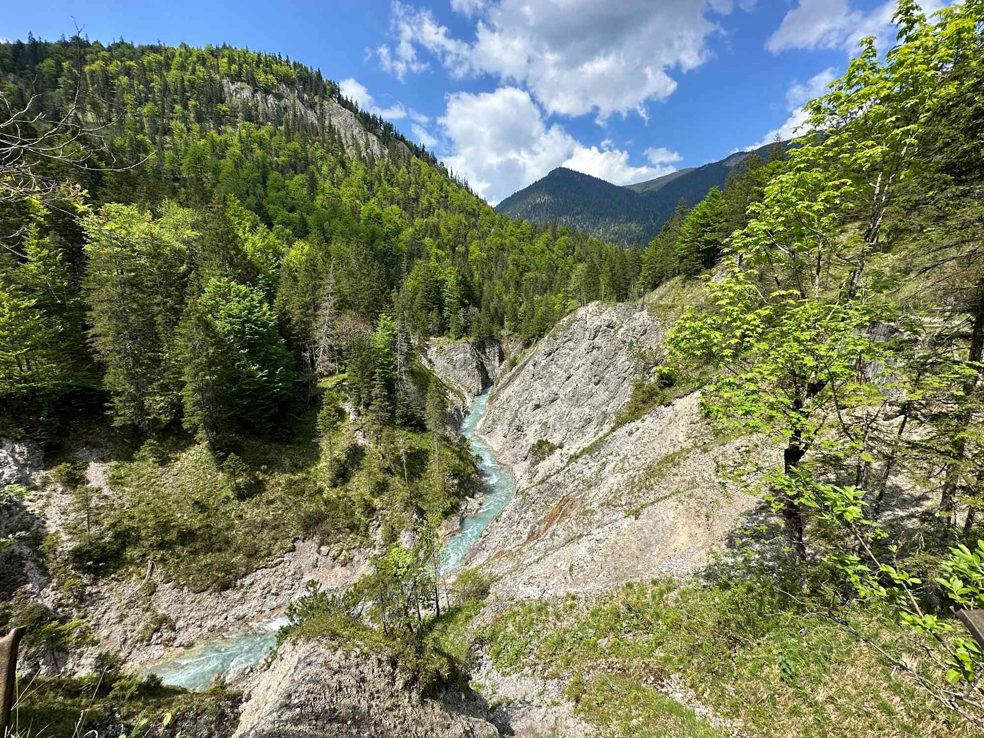 Blick auf den Johannisbach kurz bevor er in den Rißbach mündet