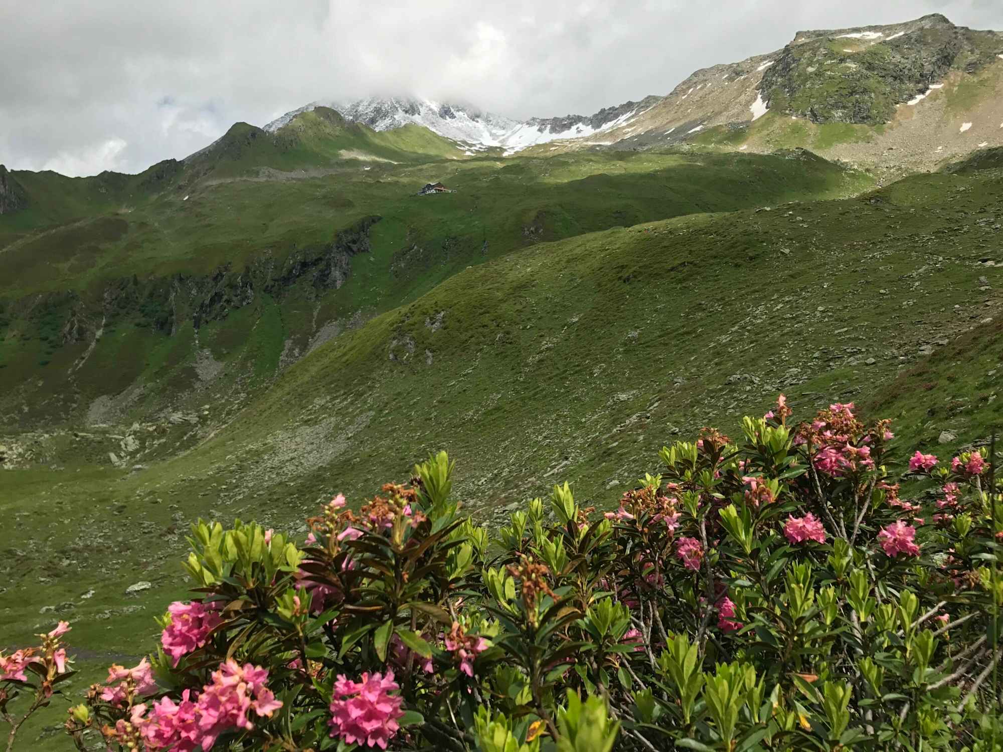 Blick zurück auf die Karl-von-Edel-Hütte