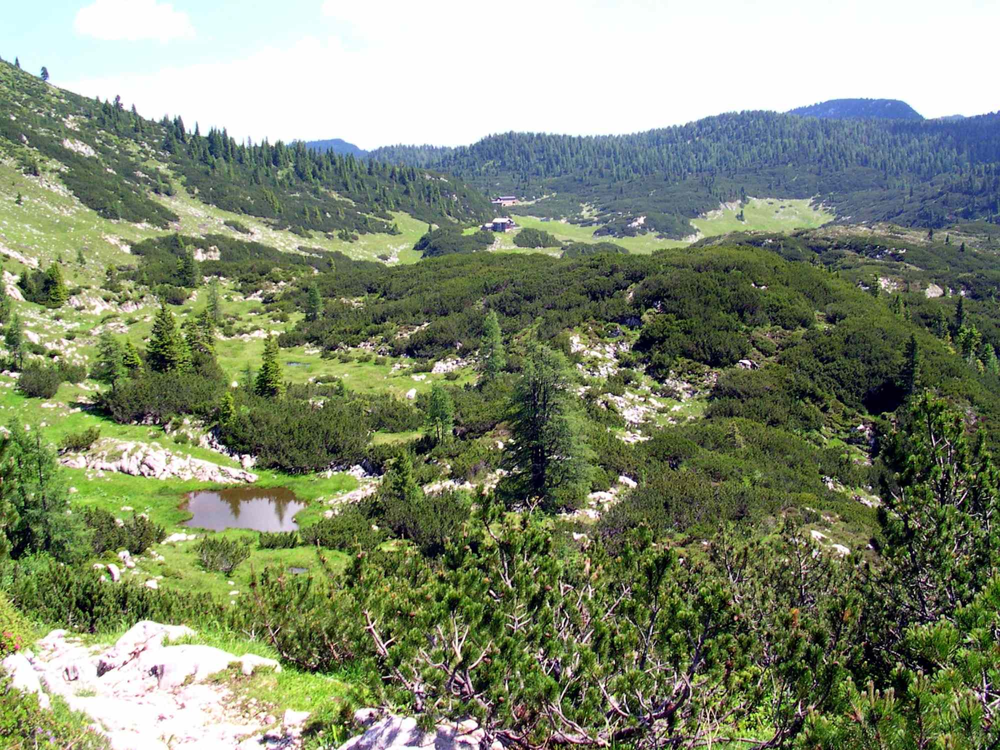 Blick über die weitläufige Reiter Alm