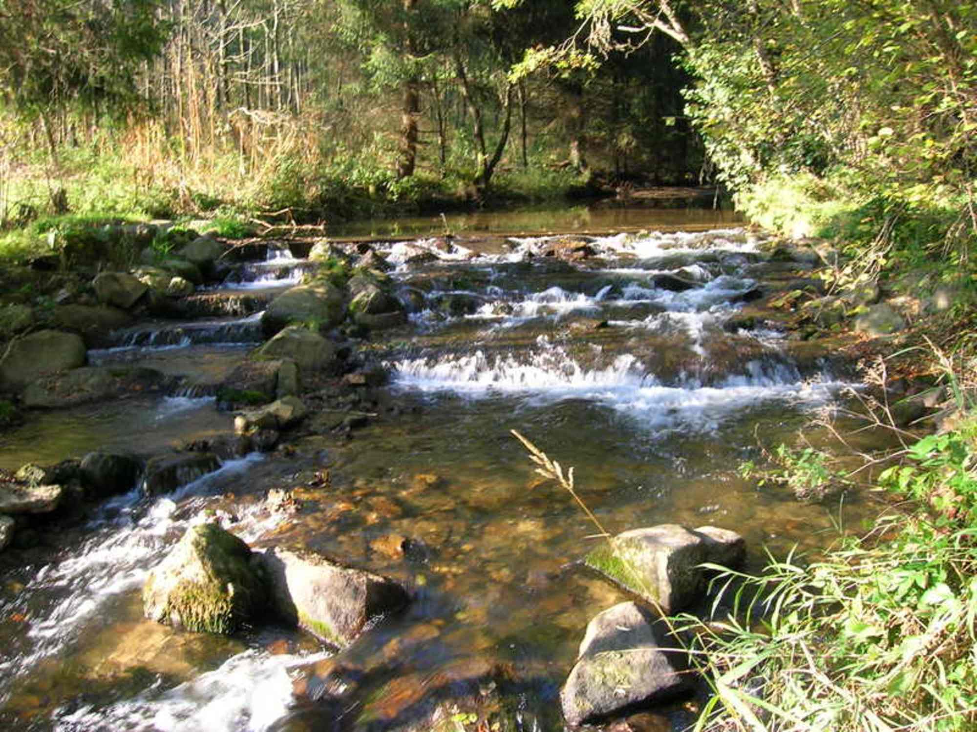 Bogendorf-Rundweg Herzogsdorf
