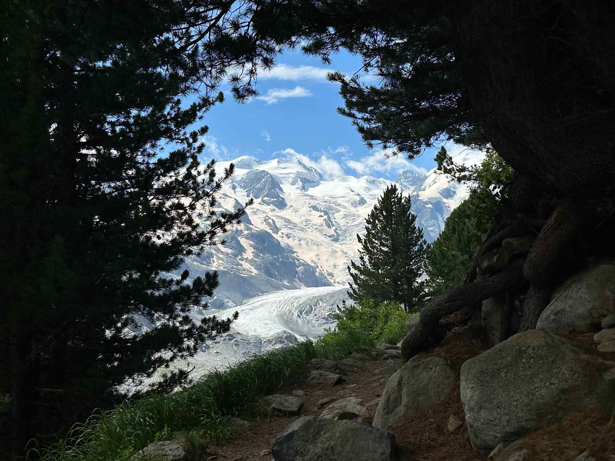 Aufstieg zur Boval Hütte mit Blick auf den Morteratsch Gletscher