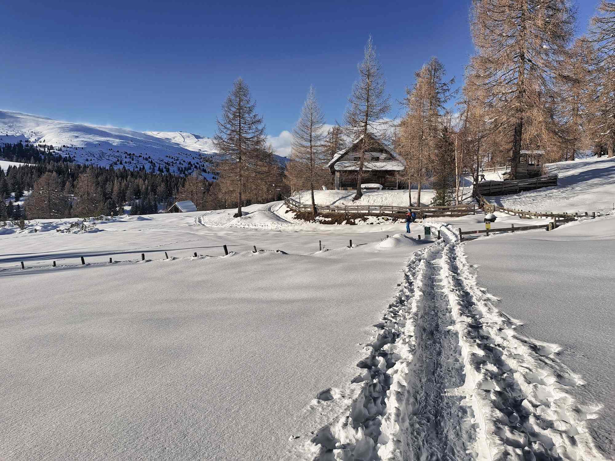 Neue Bonner Hütte