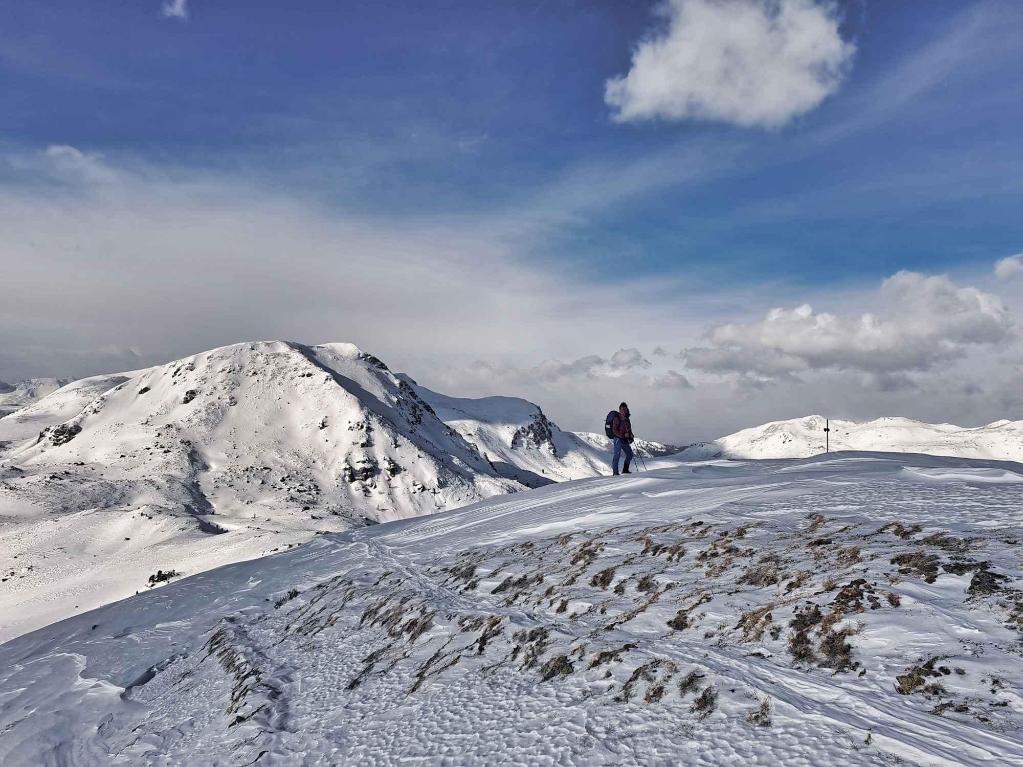 Aufstieg zur Laußnitzeralm 