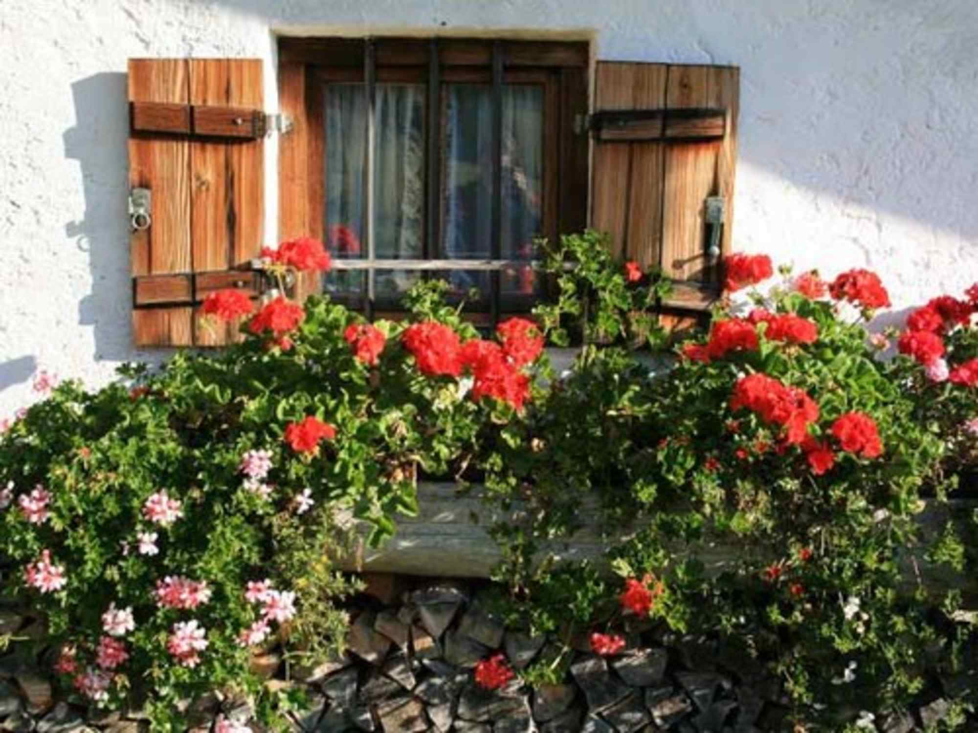 Almfenster
