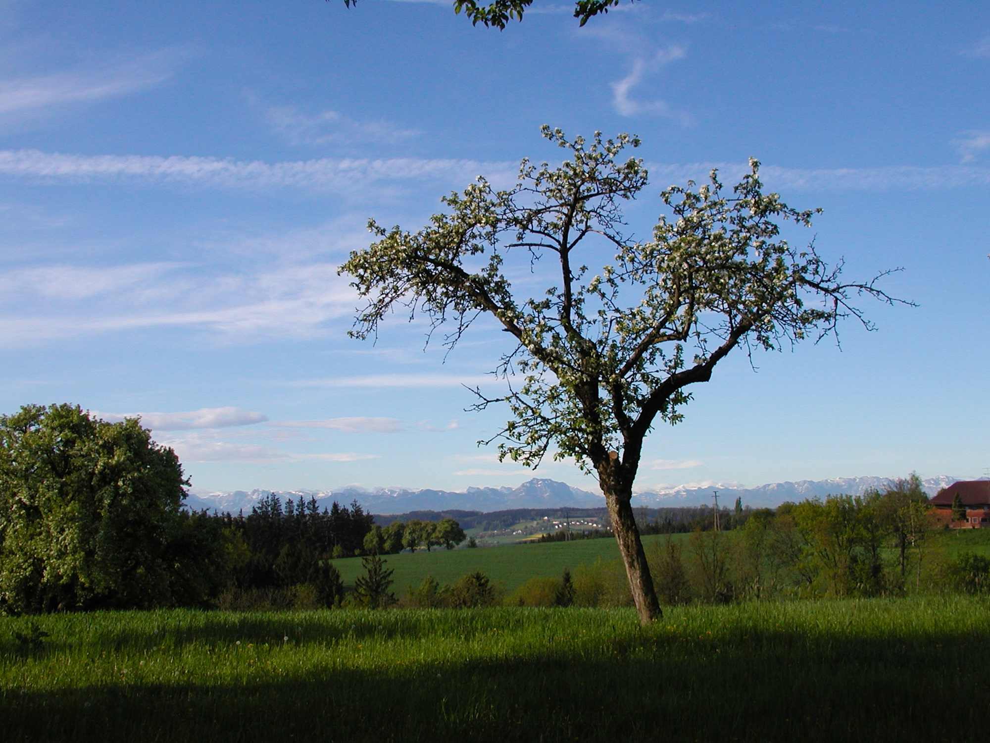 Muelleberg-Runde