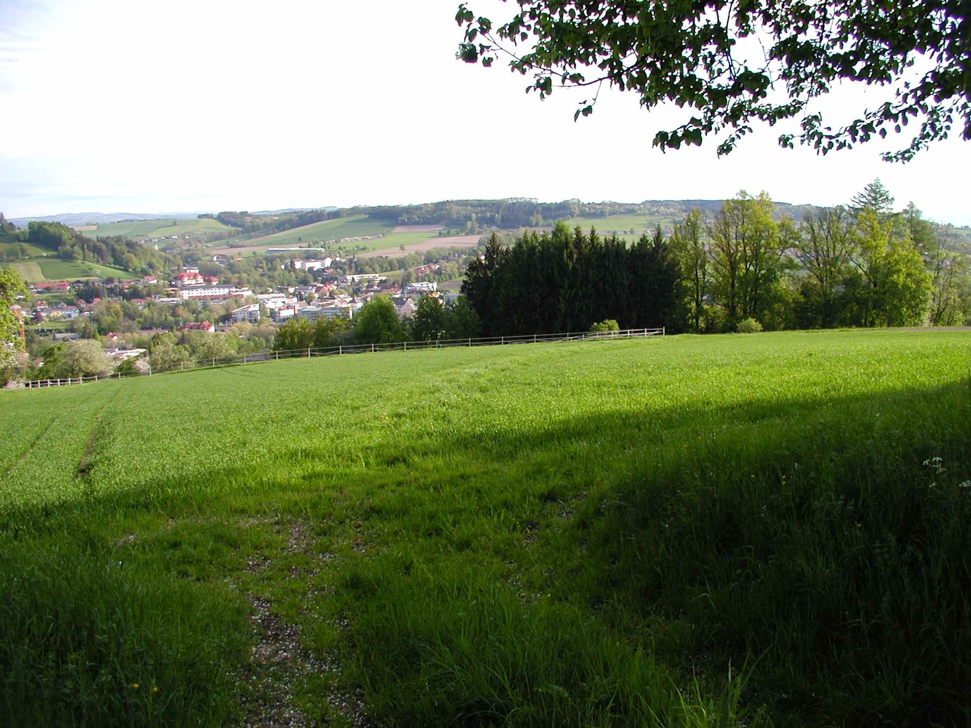 Muellerberg-Runde