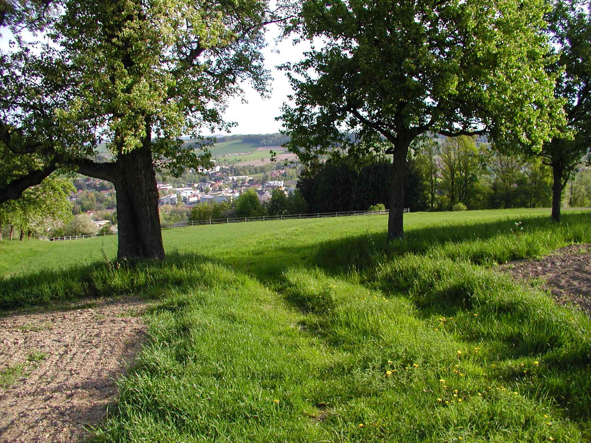 Muellerberg-Runde