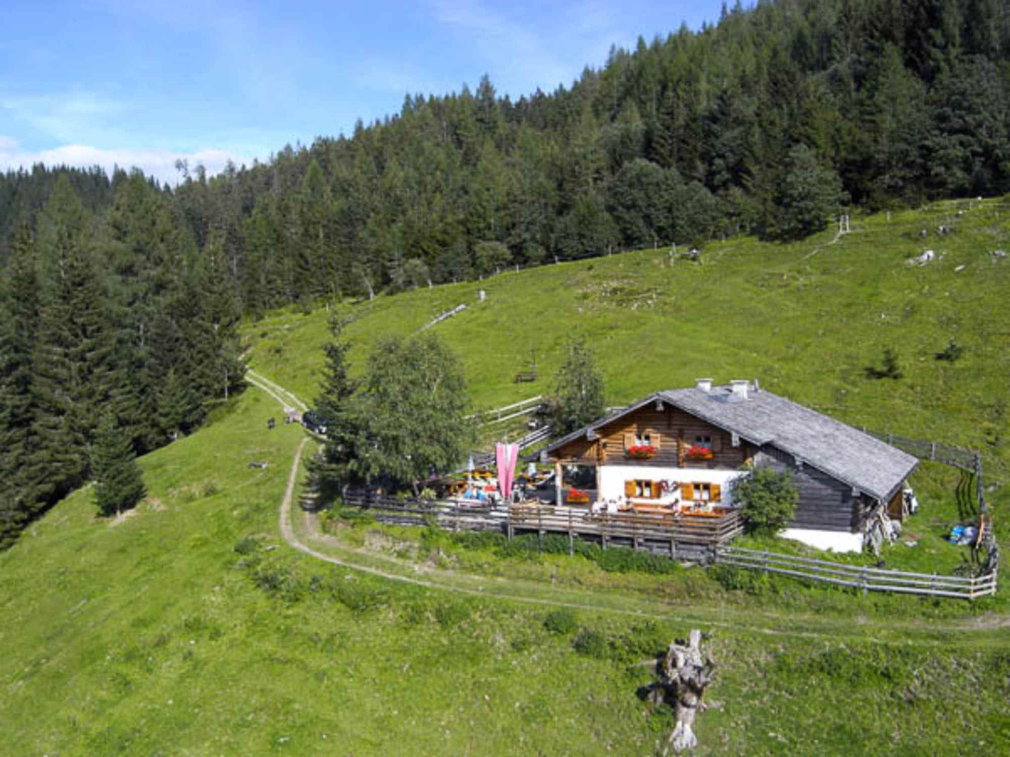 Pronebenalm