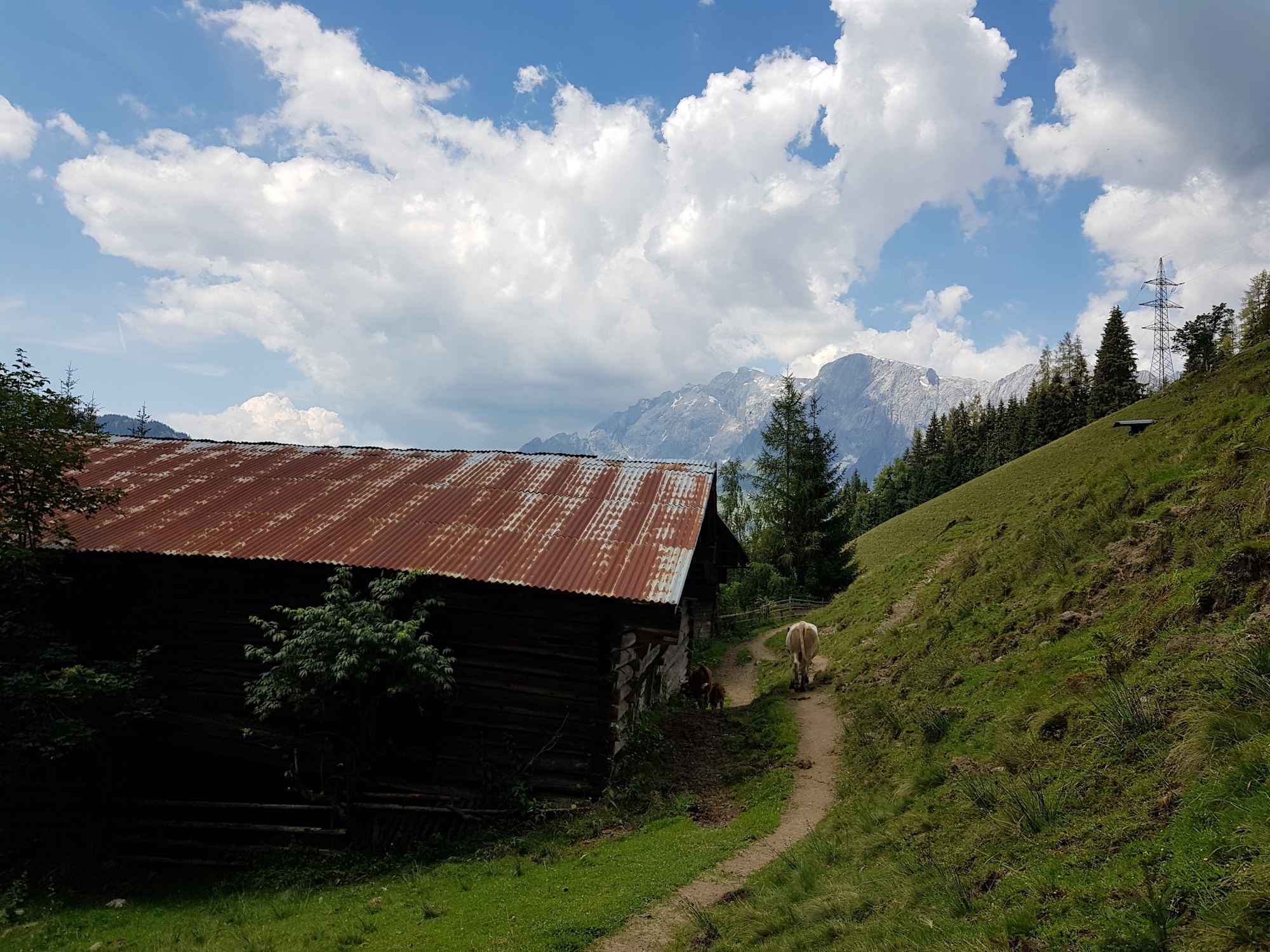 Am Weg von der Pronebenalm zum Paussbauer