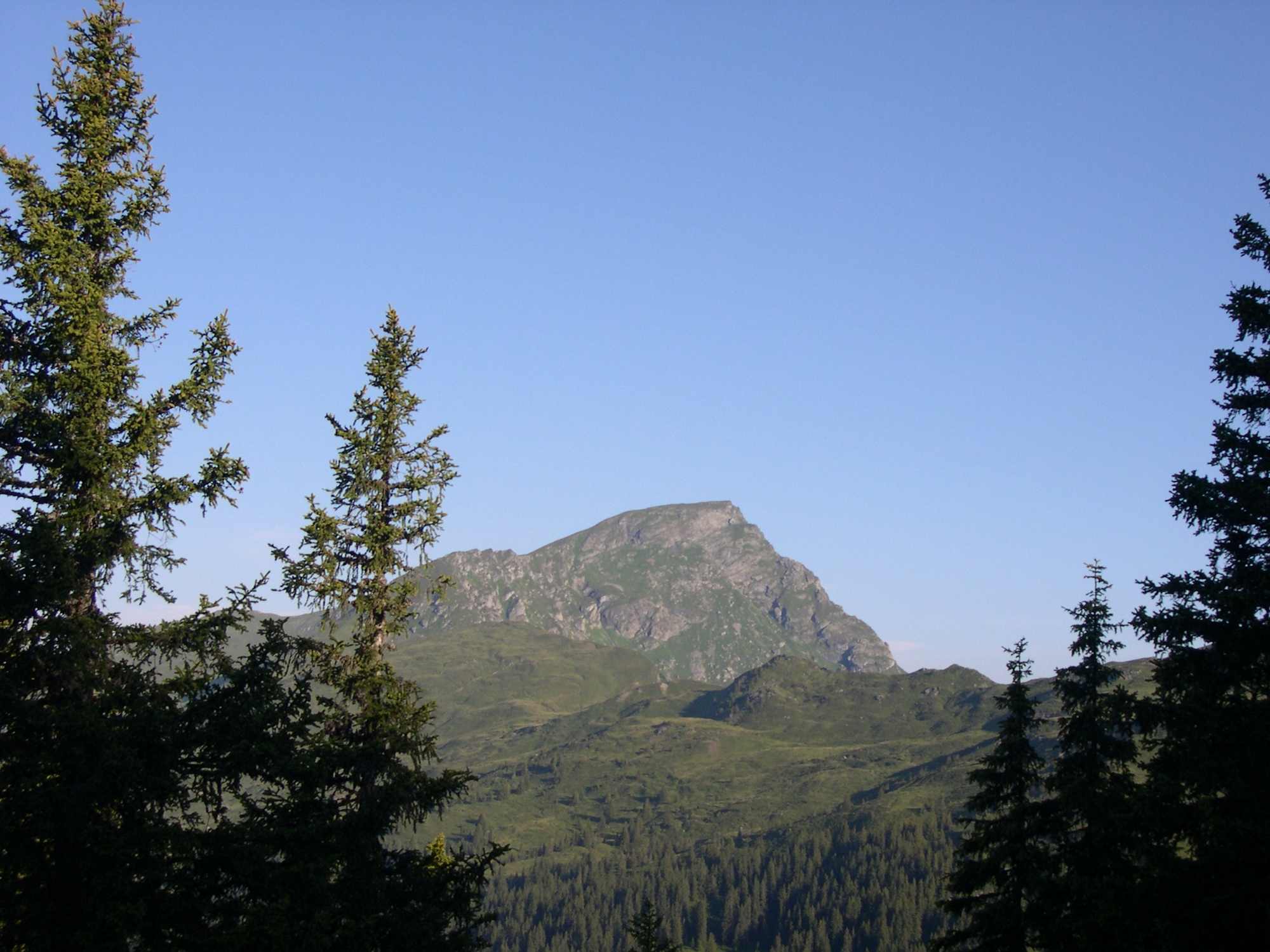 Geißstein - 2.361 m - einer höchsten Grasberge Europas