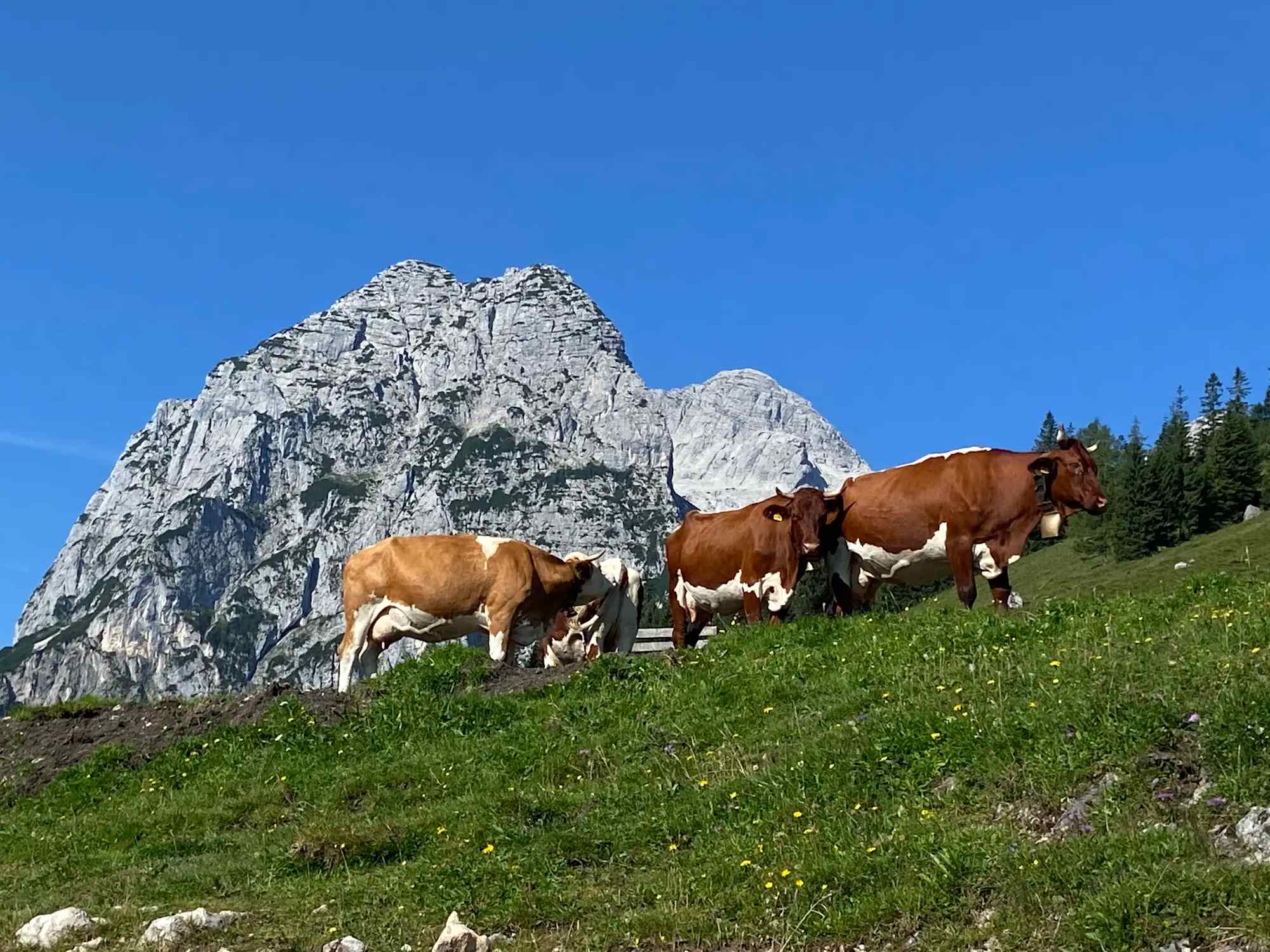 Gerner Höhenweg