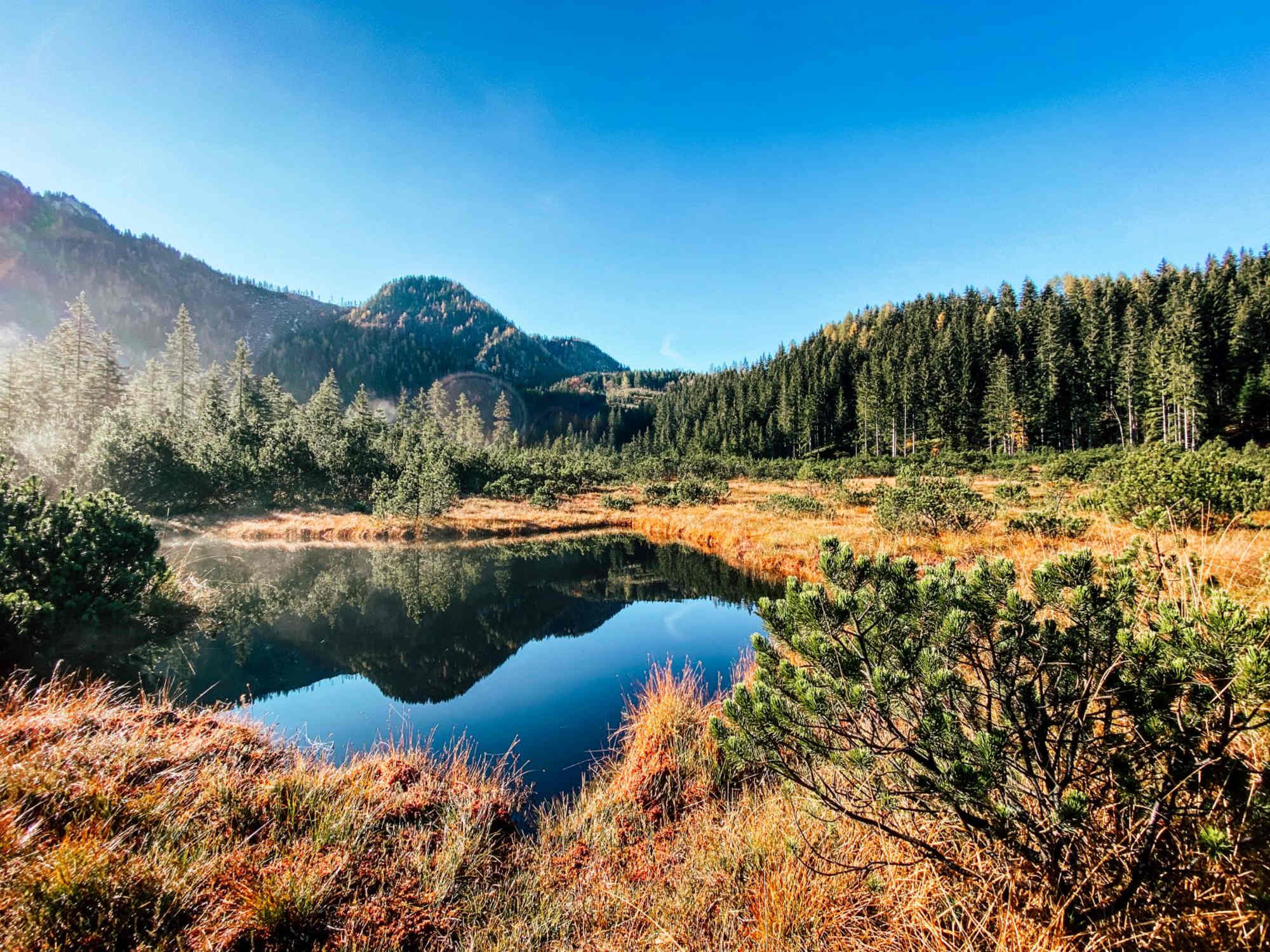 Hochmoor zwischen Hochkar und Göstling