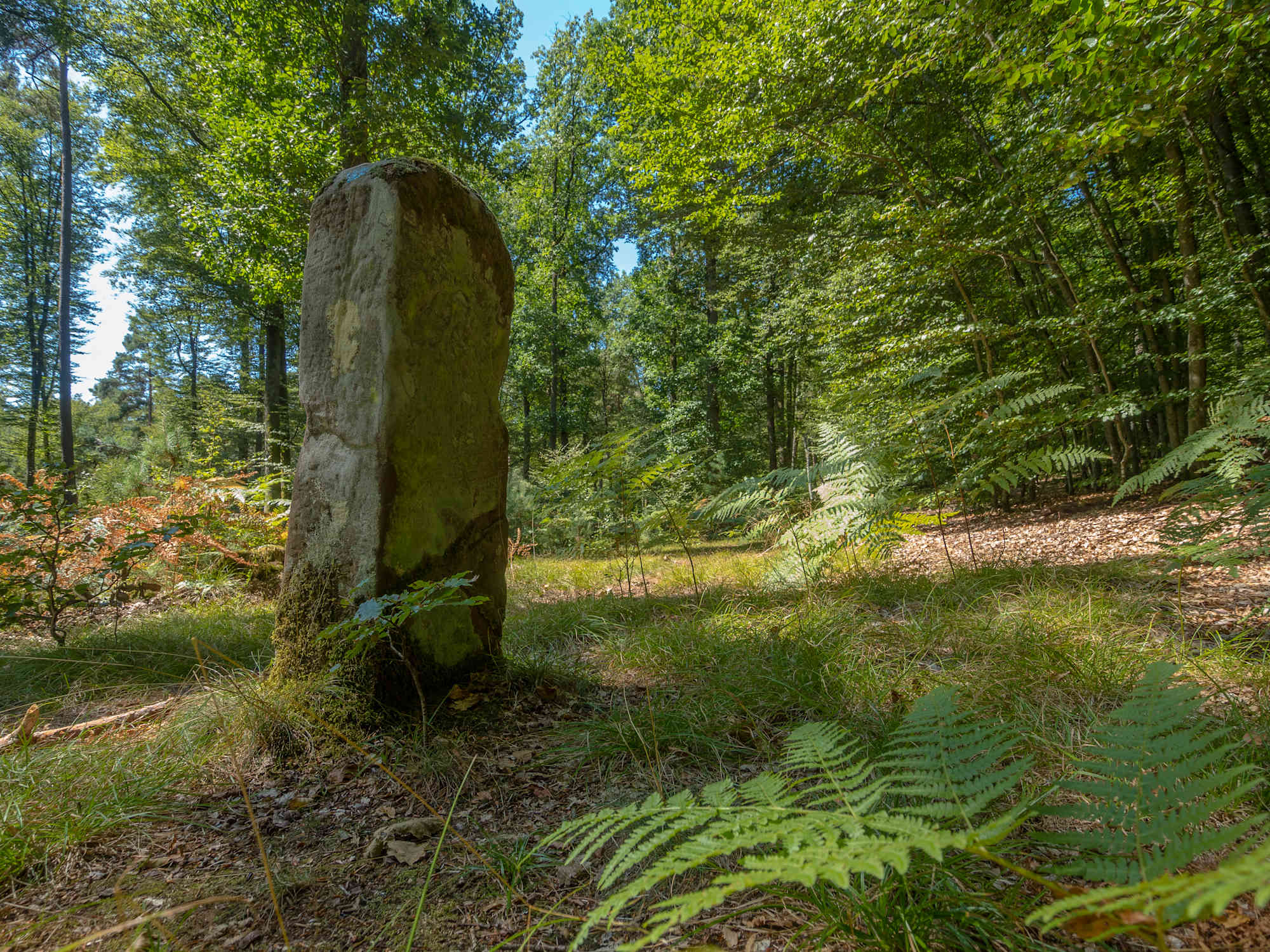 Grenzweg Eppenbrunn
