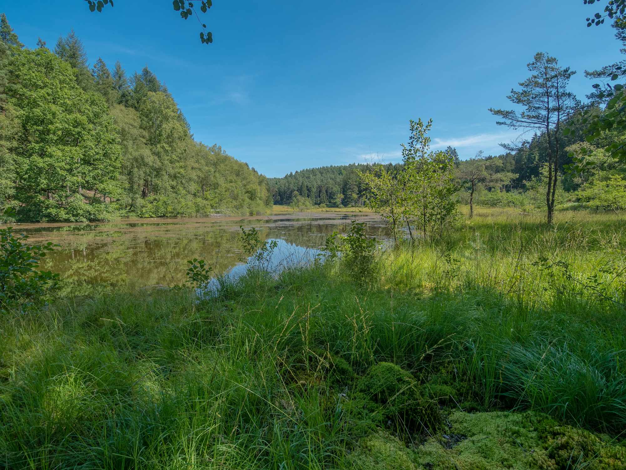 Grenzweg Eppenbrunn