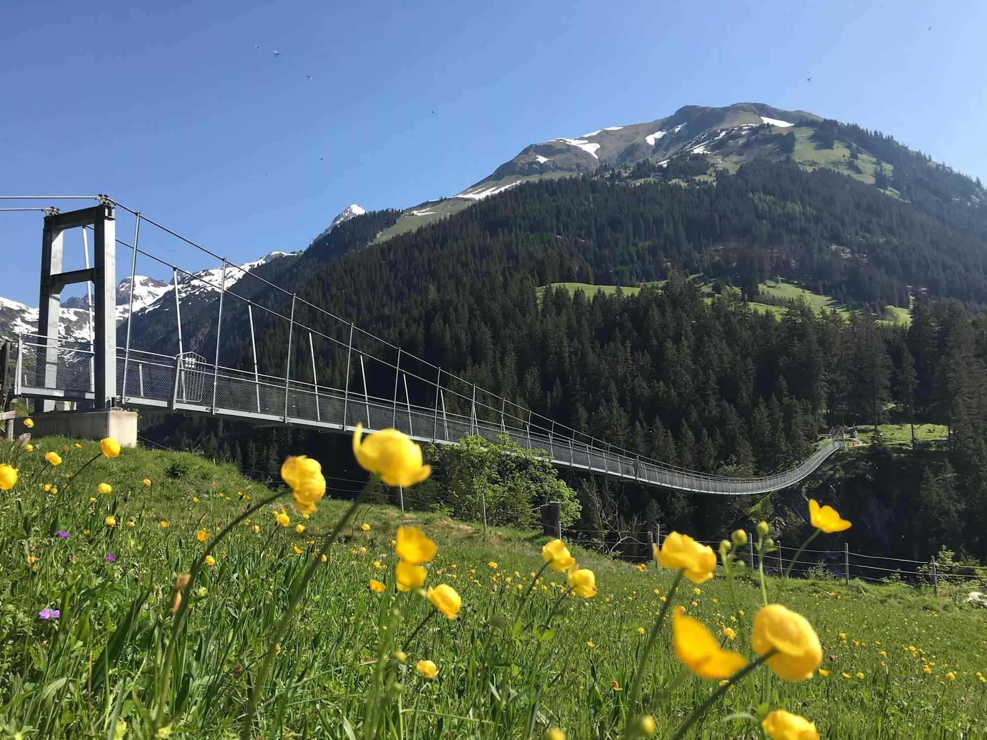 Die spektakuläre Hängebrücke bei Holzgau.