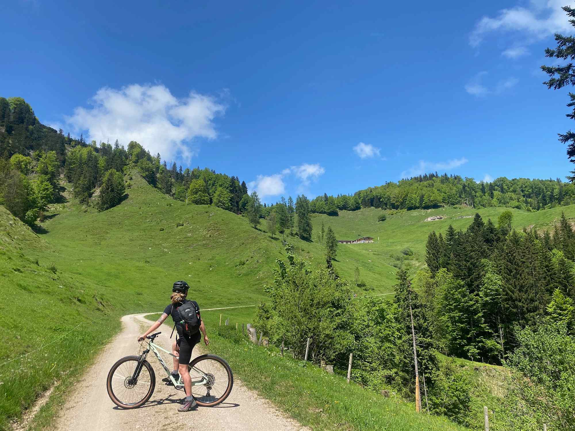 Am Weg zur Haraualm