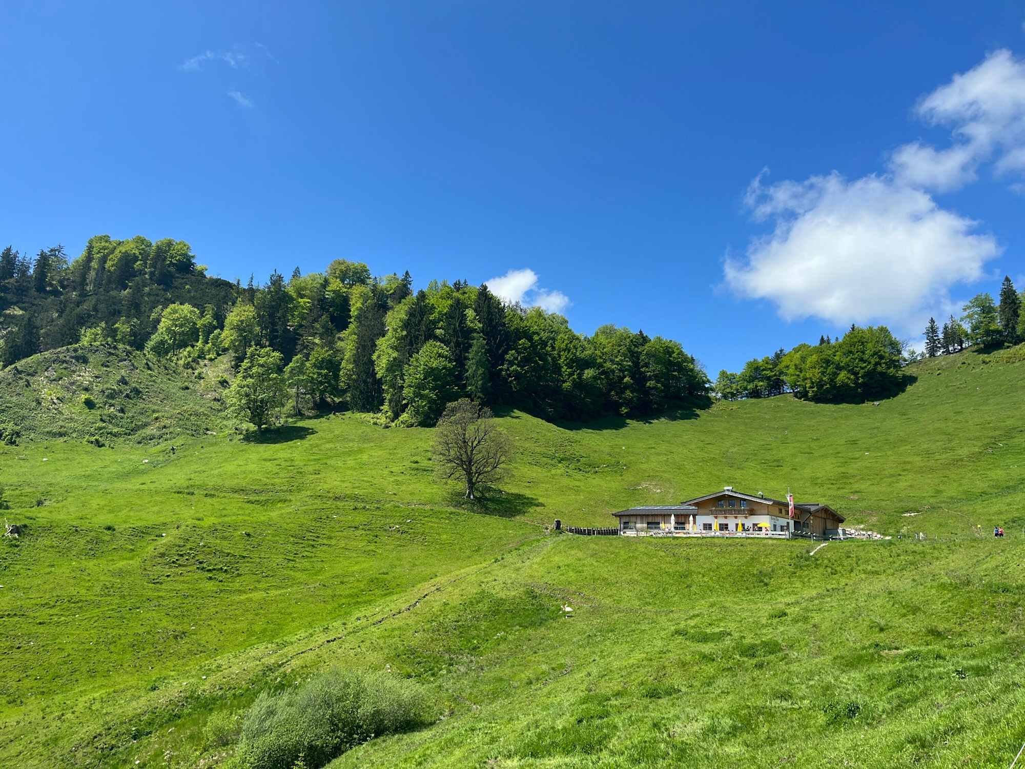 Am Weg zur Haraualm