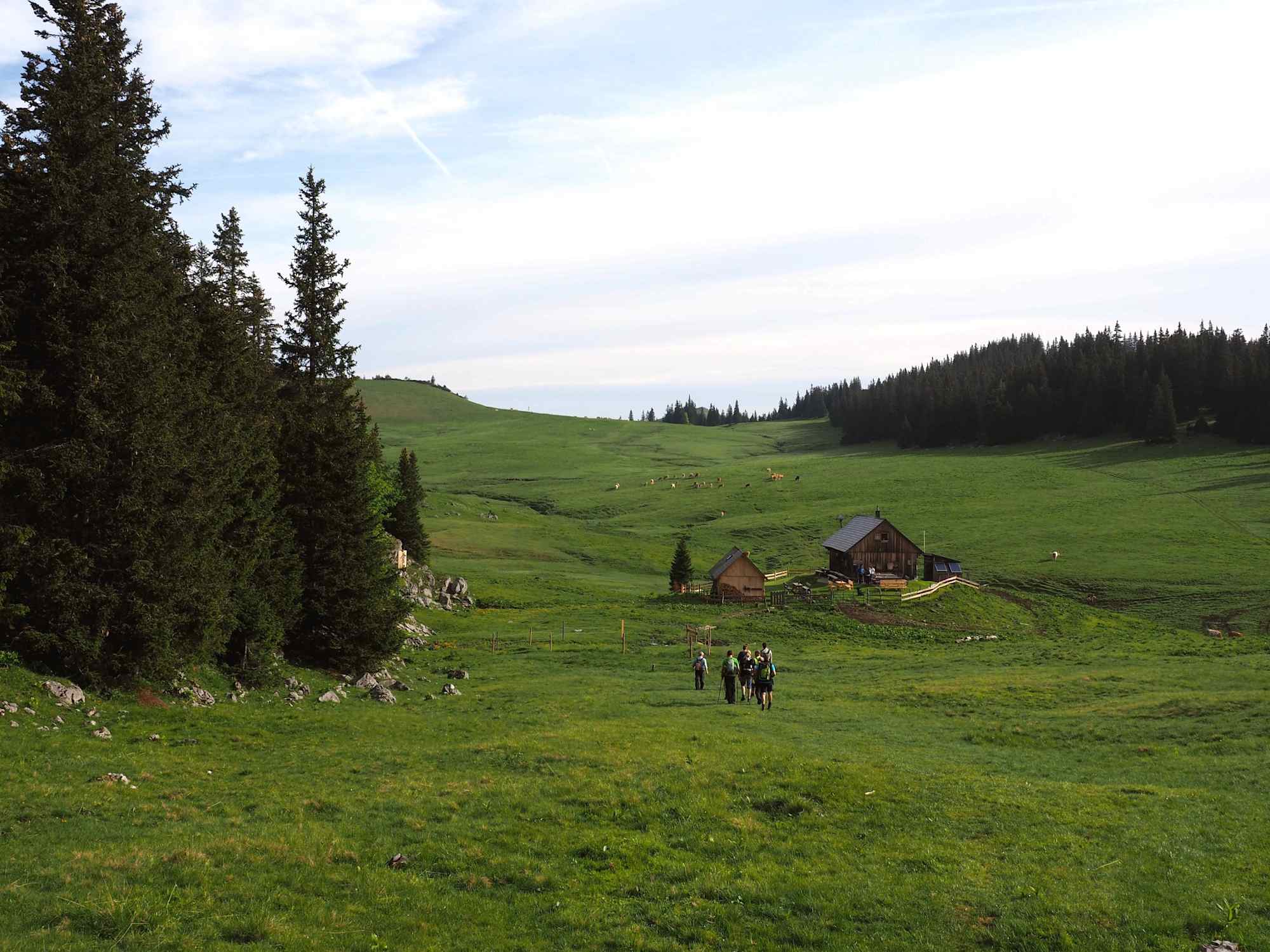 Am Herrenboden