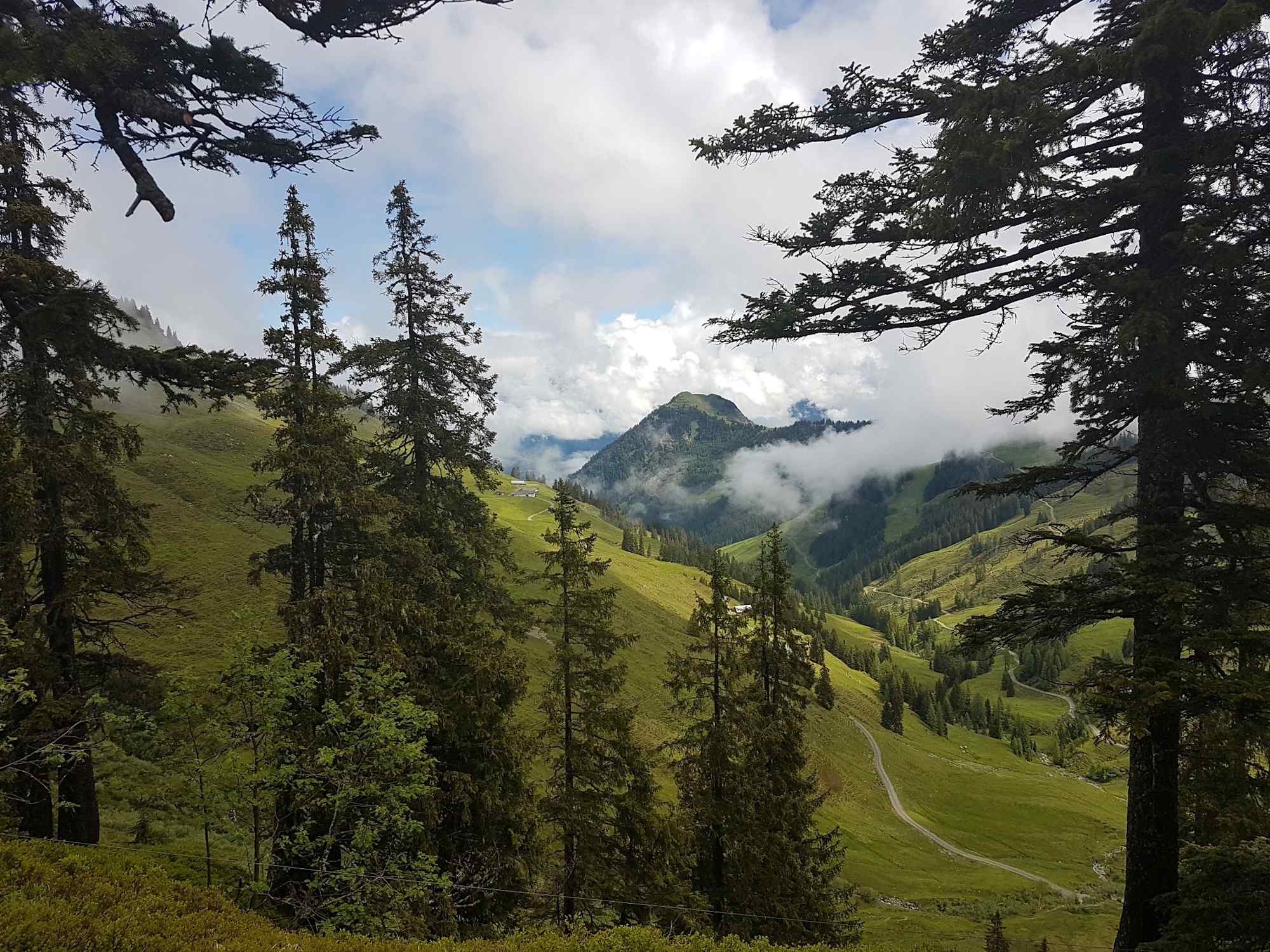 Blick zum Bürglkopf