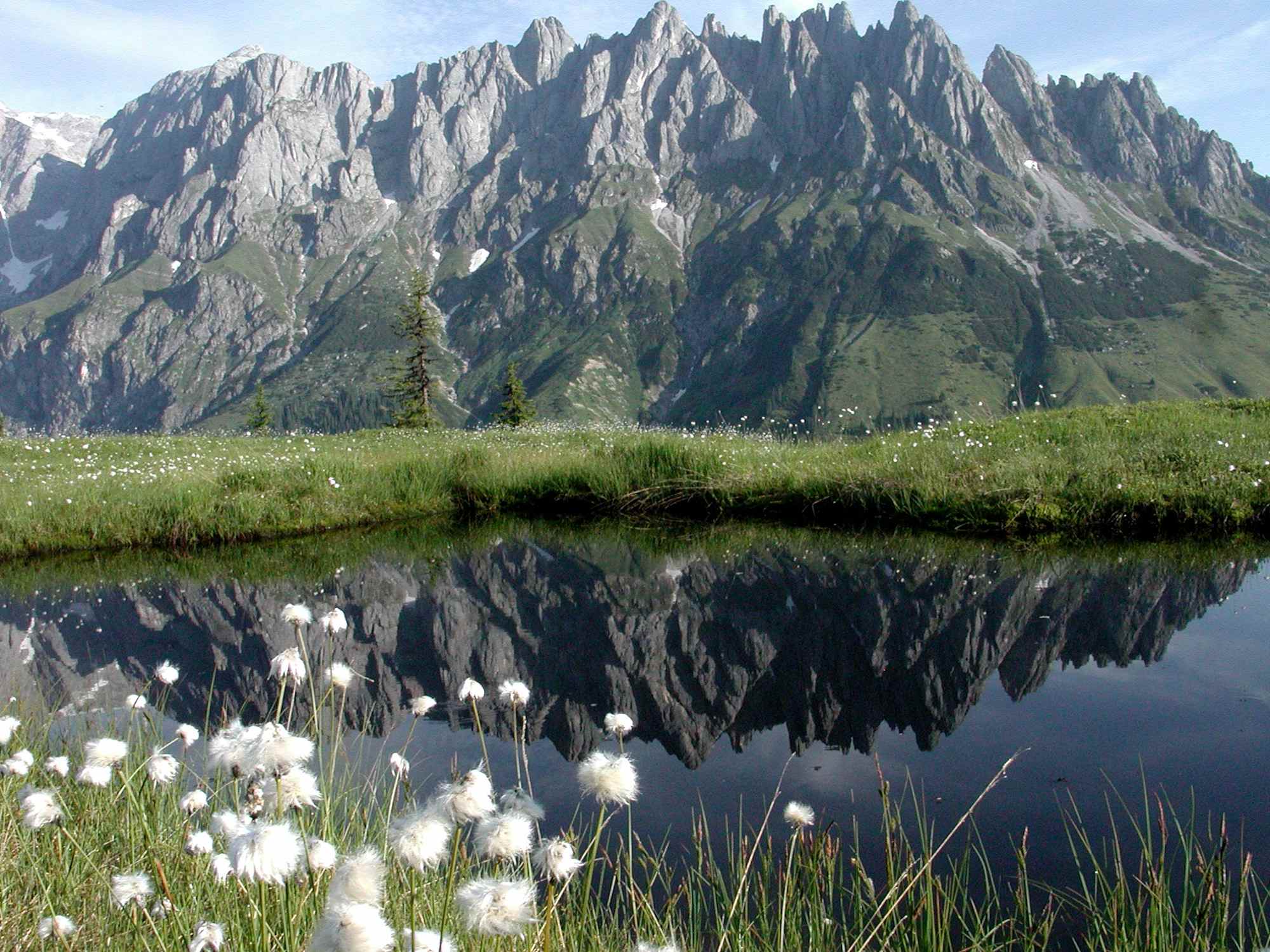 Troiboden