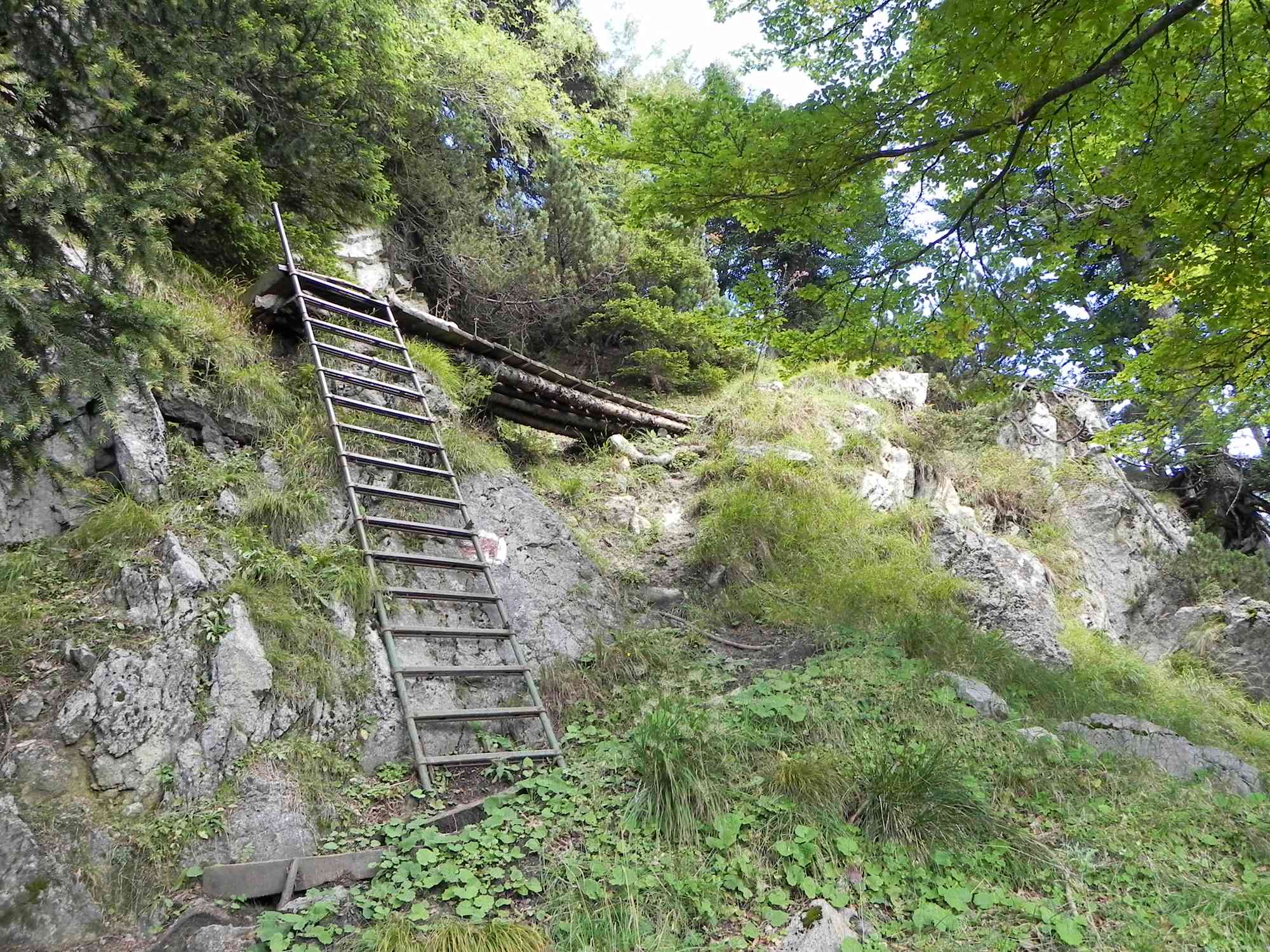 Am Weg zum Hochstaufen