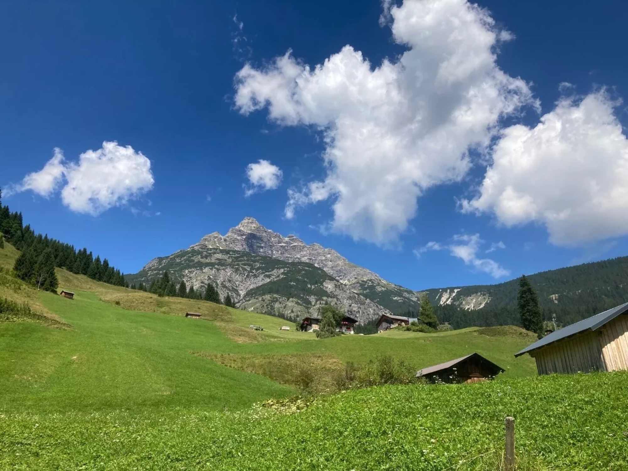 Blick auf den Hochvogel